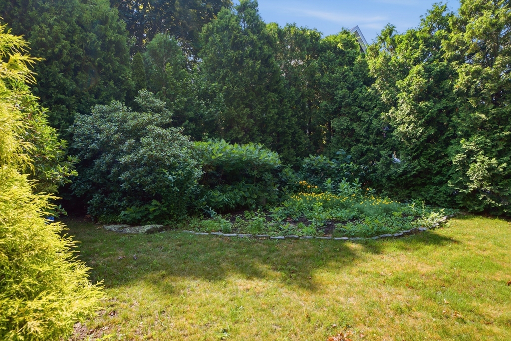 1443 Bedford St Property Photo 33