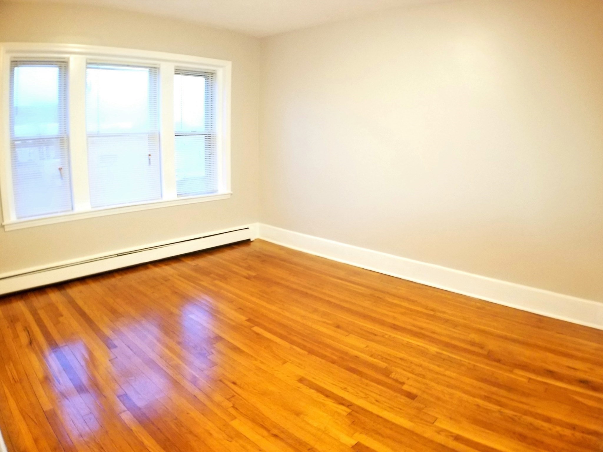 167 North Common Street # 26 Property Photo 4