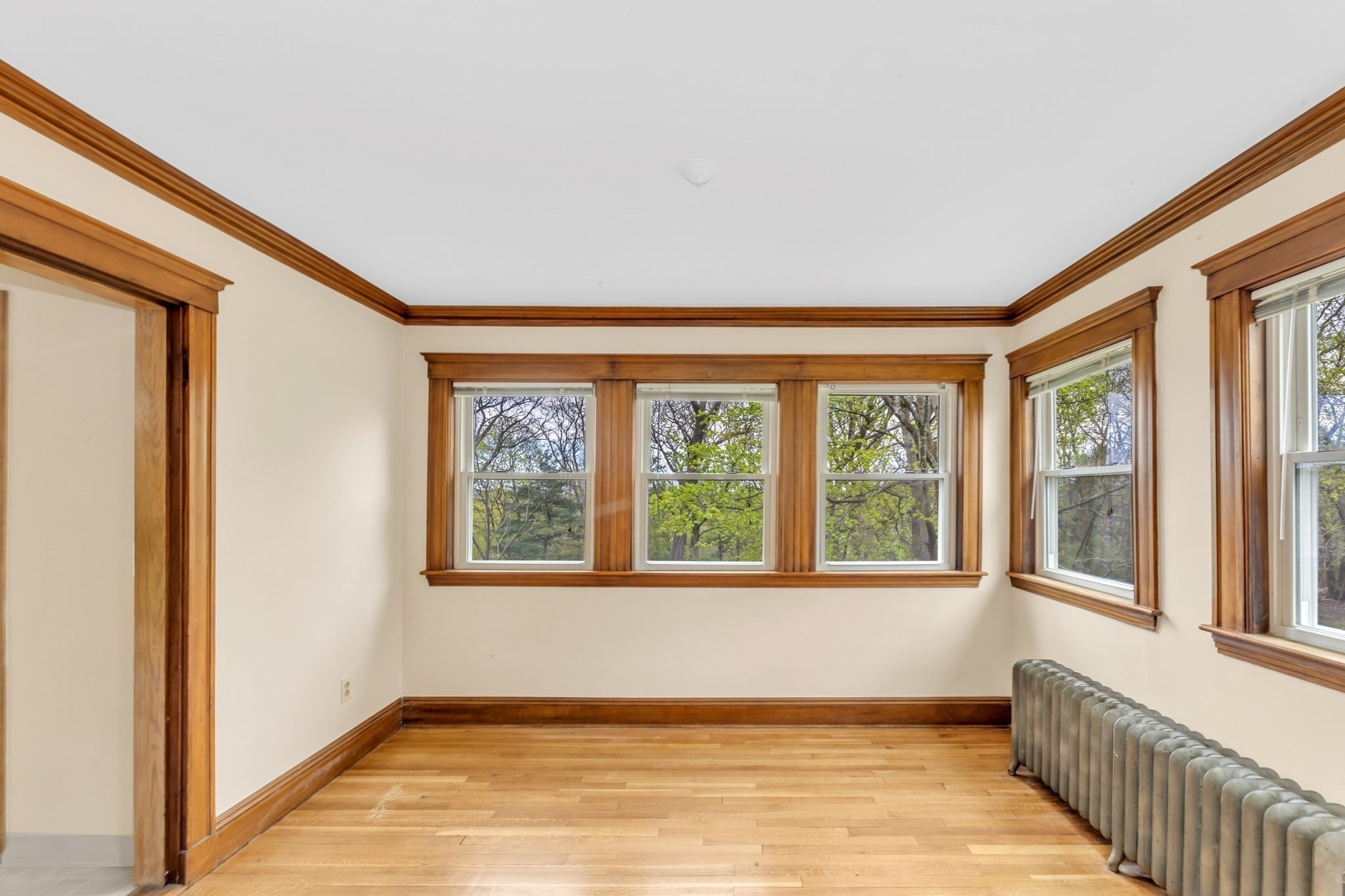 55 Arborough Property Photo 6