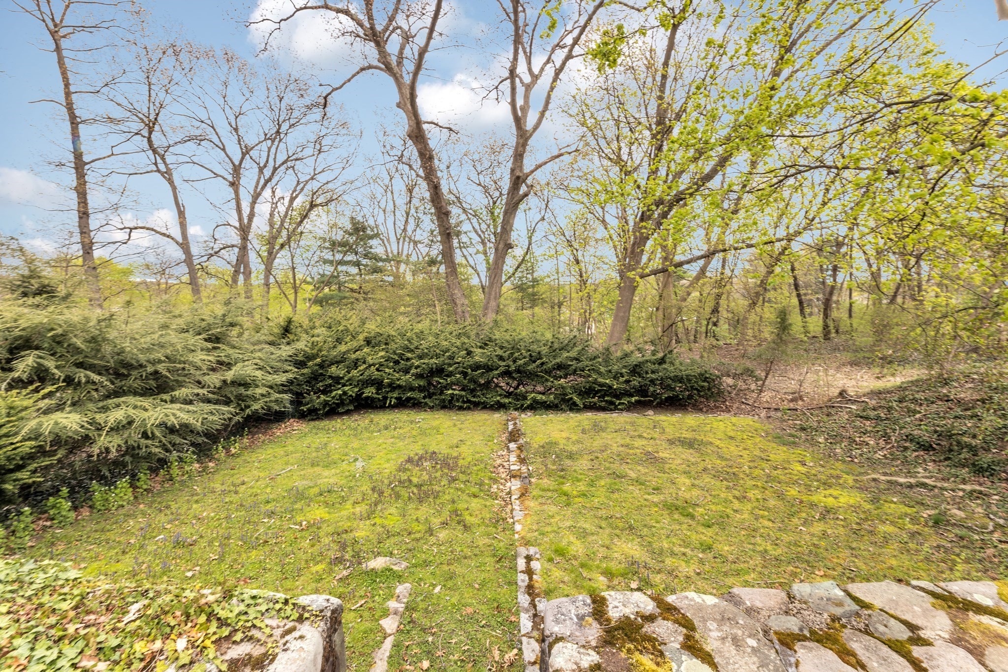 55 Arborough Property Photo 22