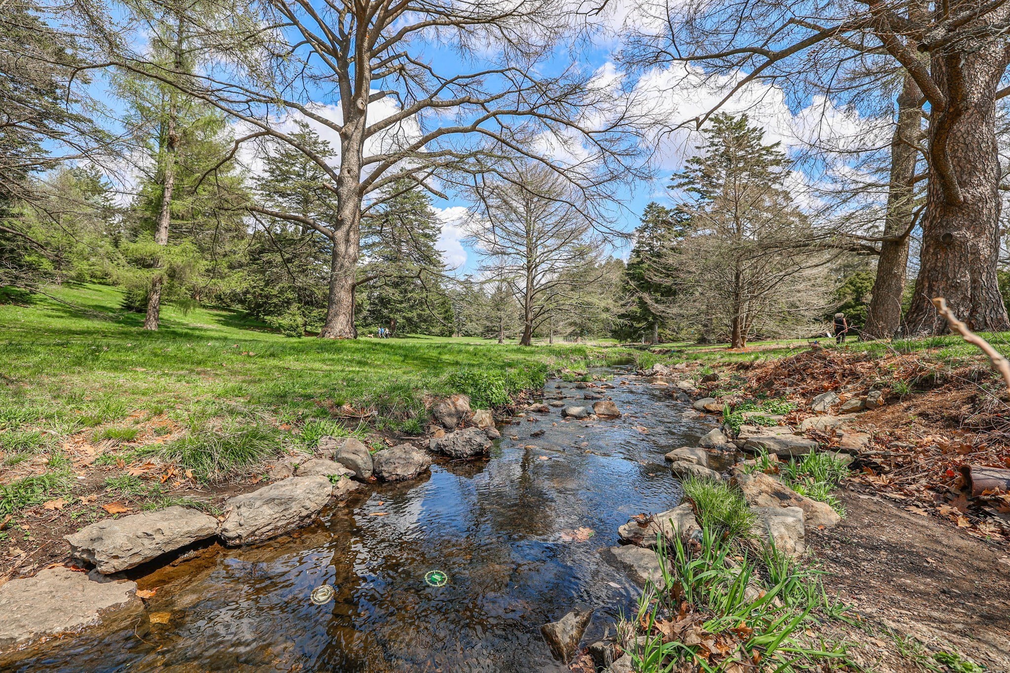 55 Arborough Property Photo 29
