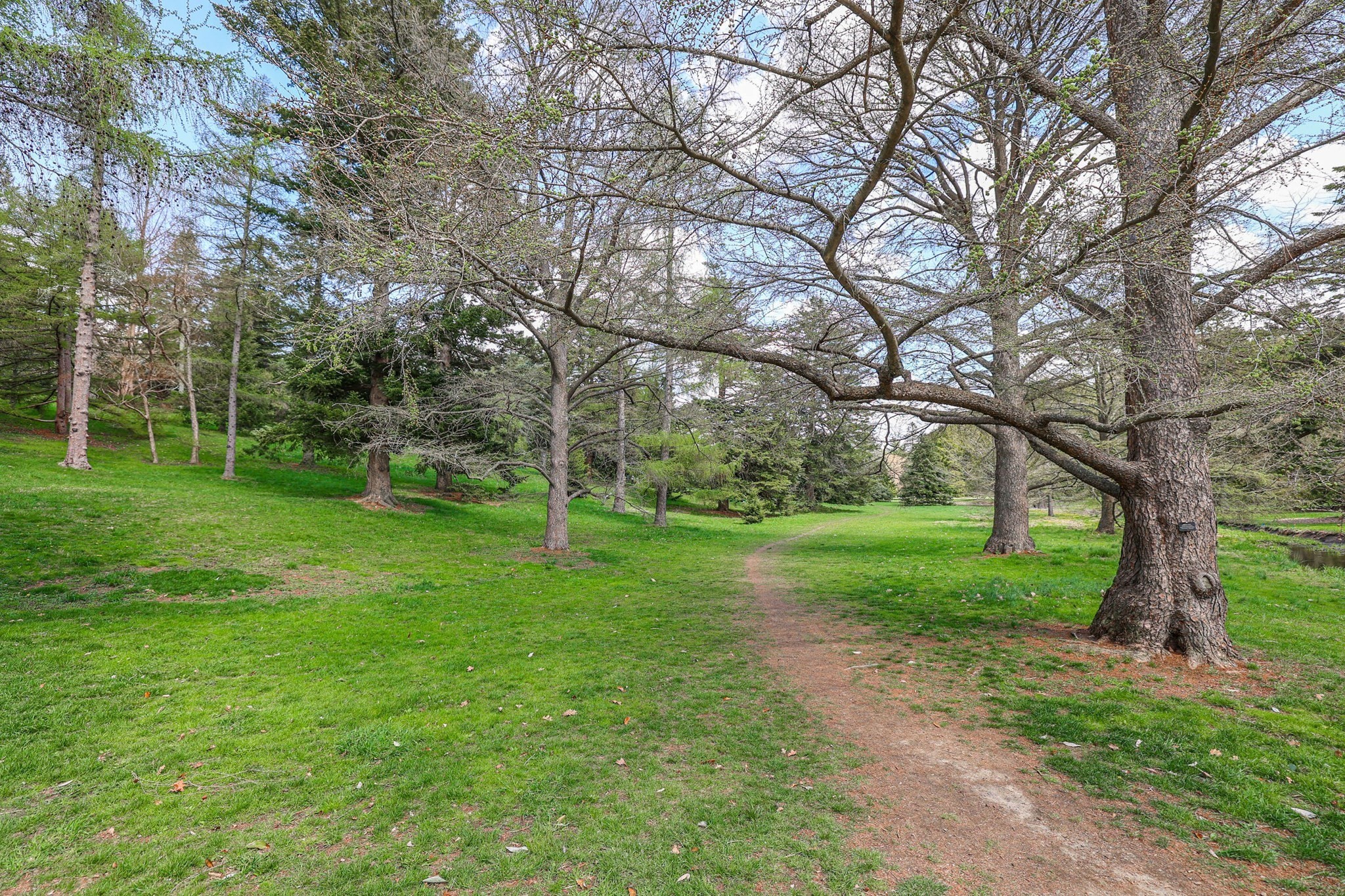 55 Arborough Property Photo 30
