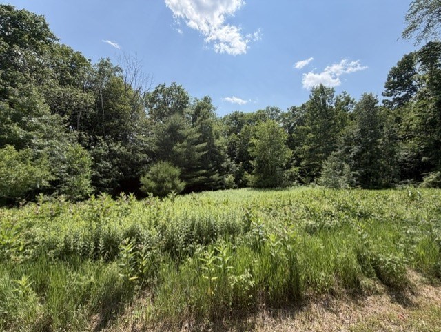 25 Deer Run Property Photo 1