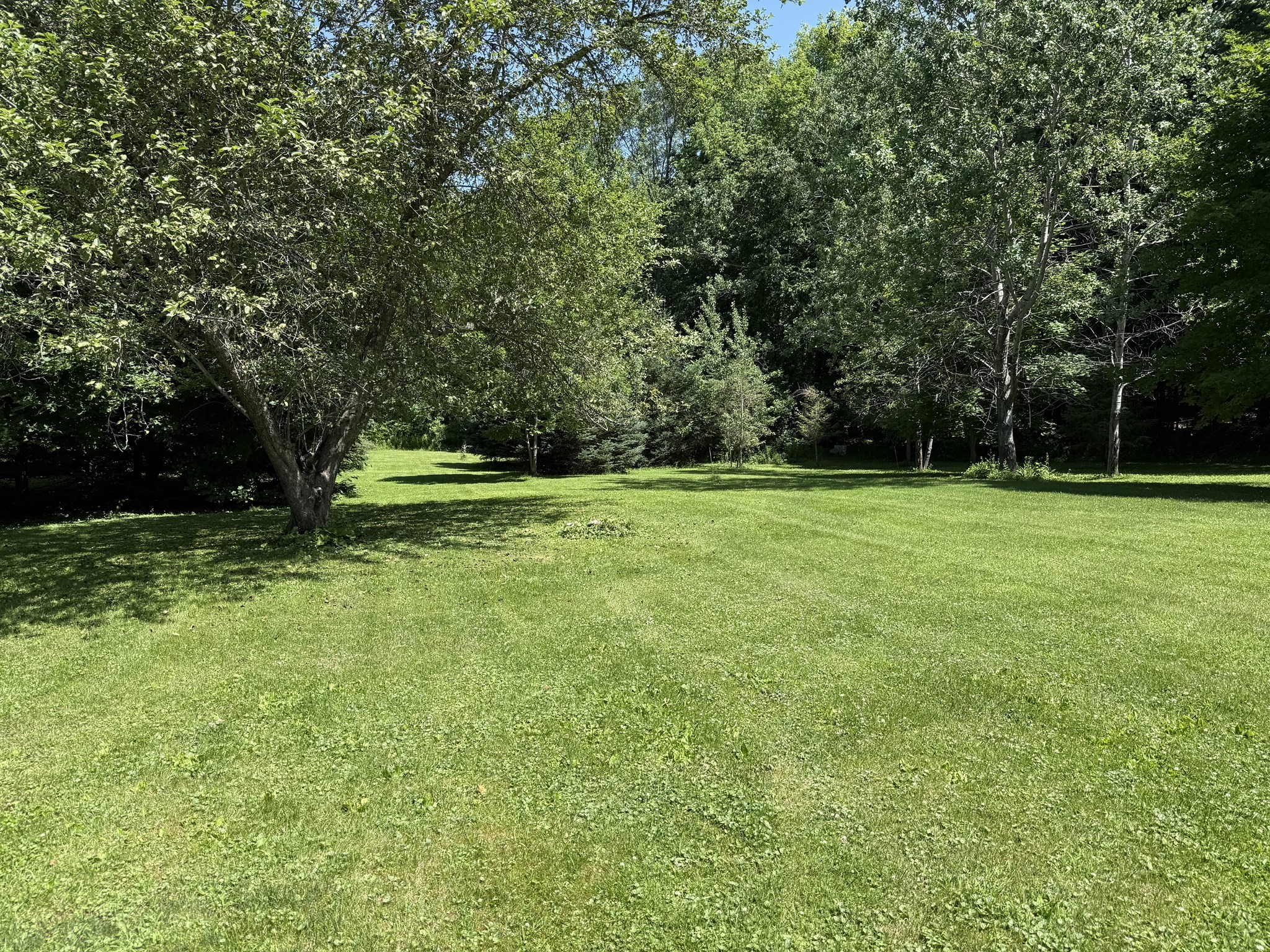 19 Greenville St Property Photo 14