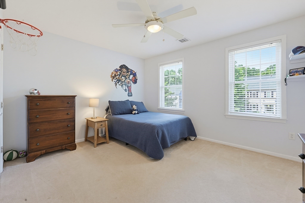 13 Paddock Property Photo 17