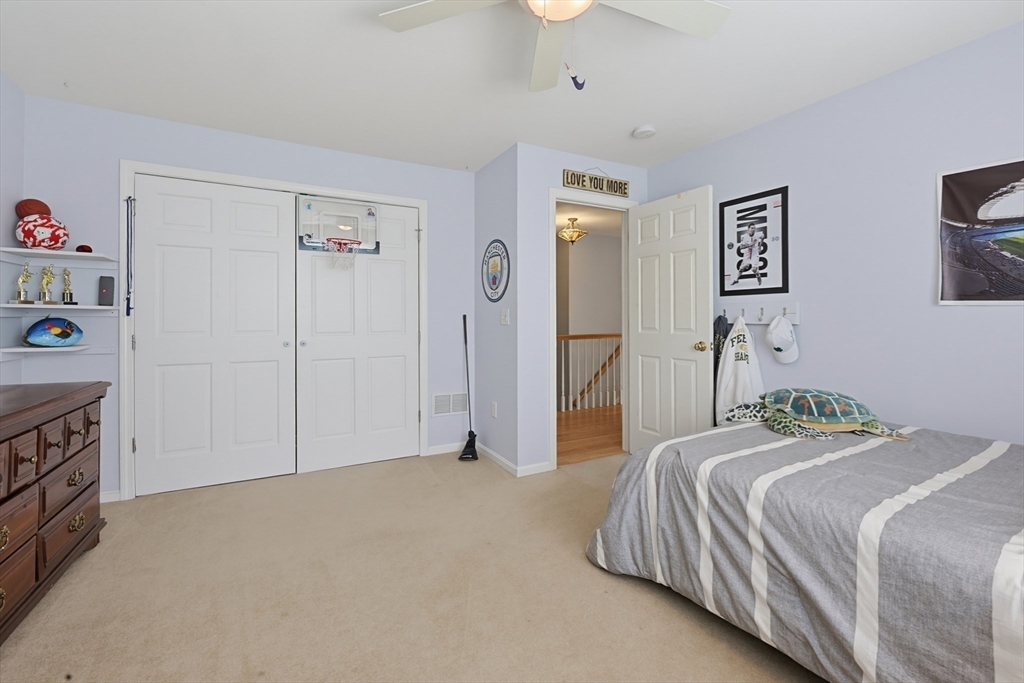 13 Paddock Property Photo 19