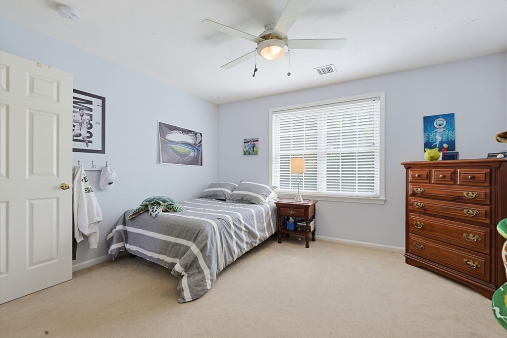 13 Paddock Property Photo 20
