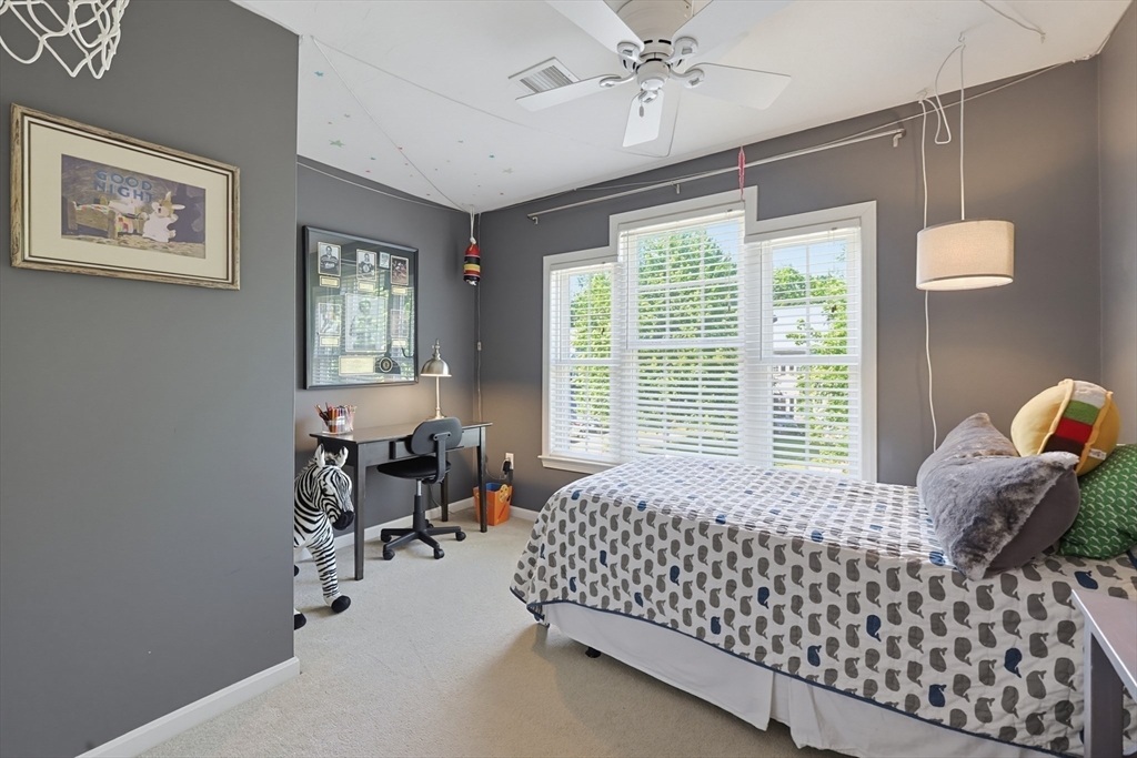 13 Paddock Property Photo 23