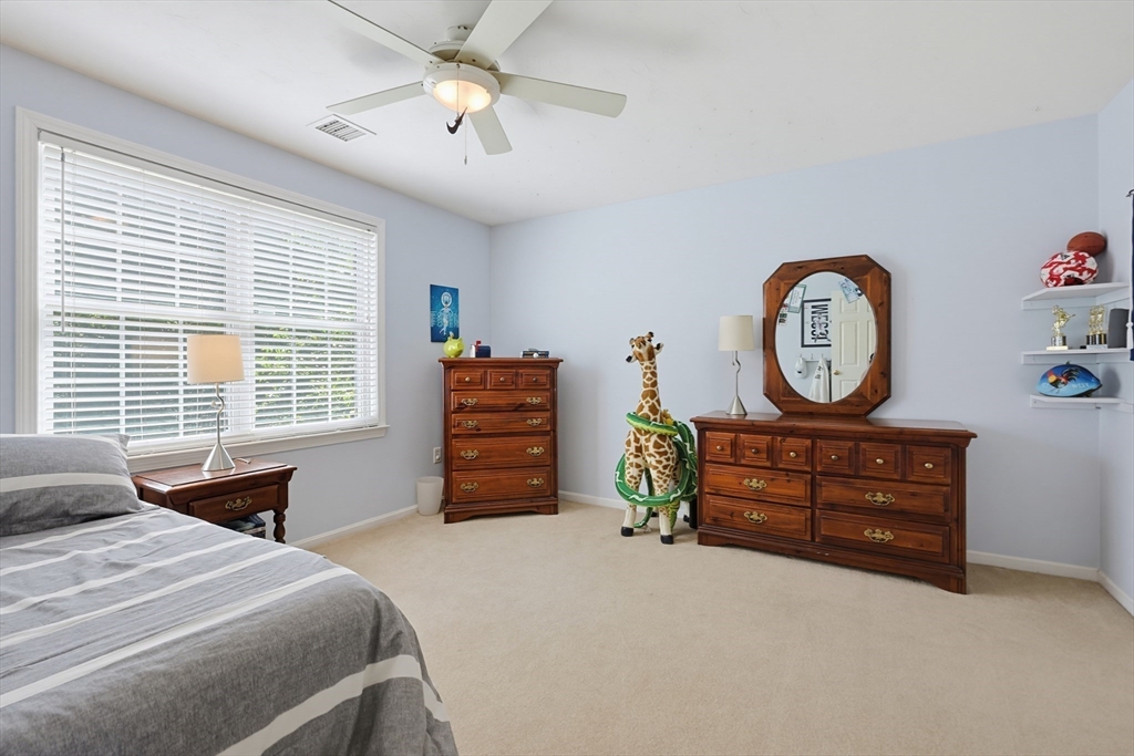 13 Paddock Property Photo 29