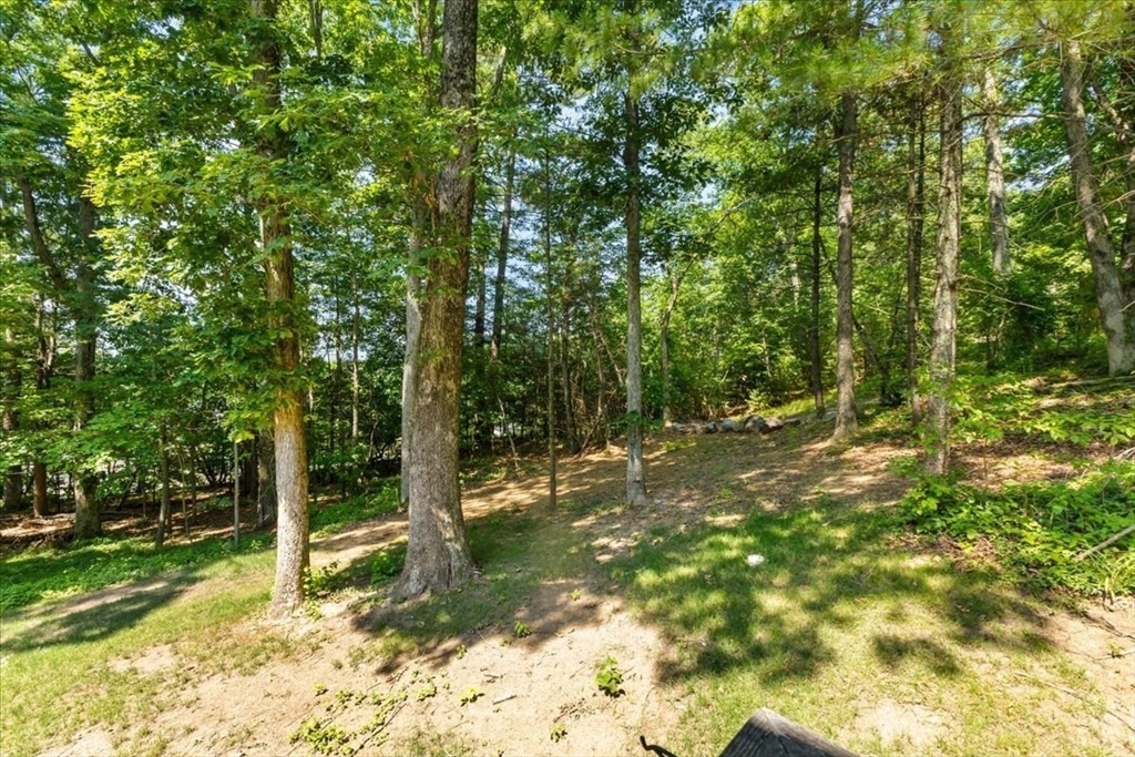 17 Farm St Property Photo 33