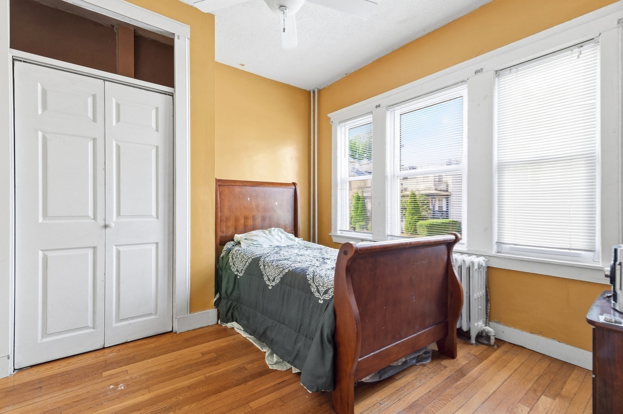 29 Esmond St Property Photo 12