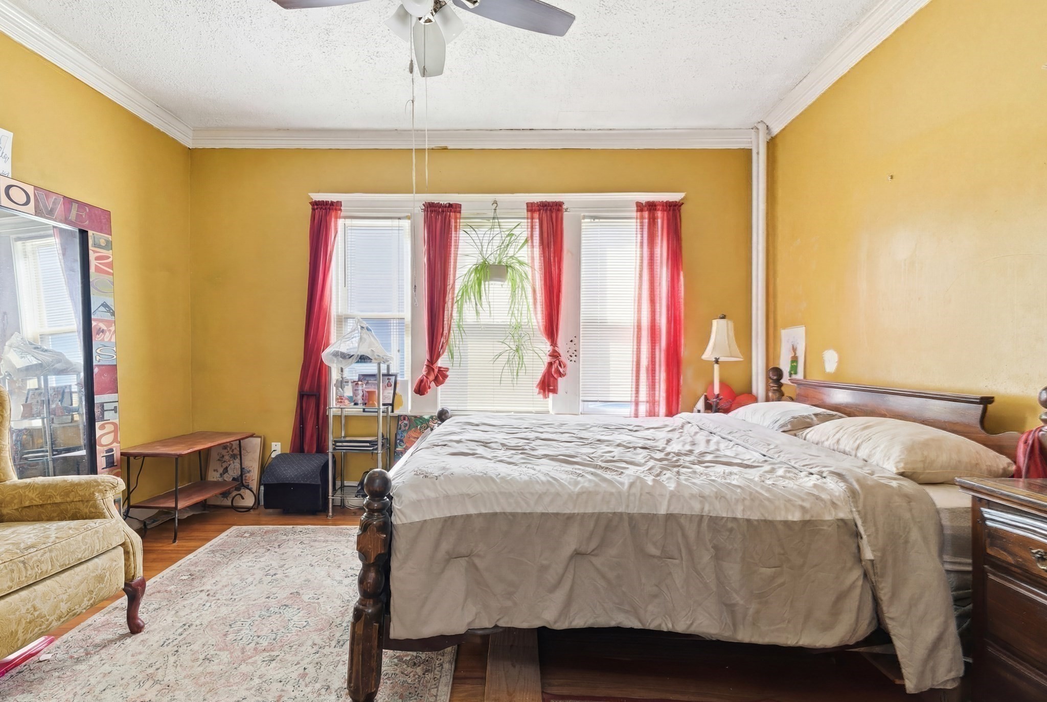 29 Esmond St Property Photo 13