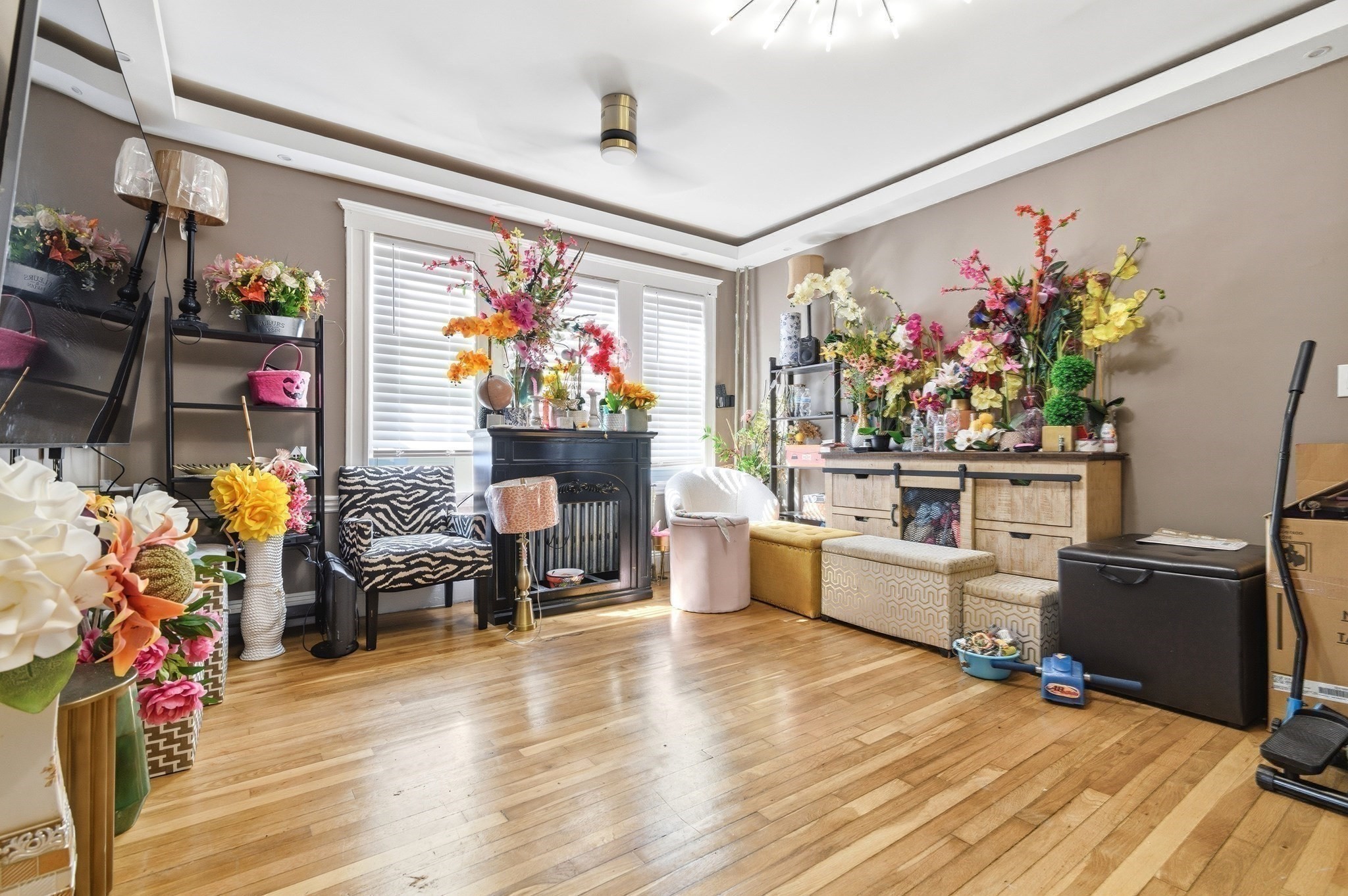 29 Esmond St Property Photo 17