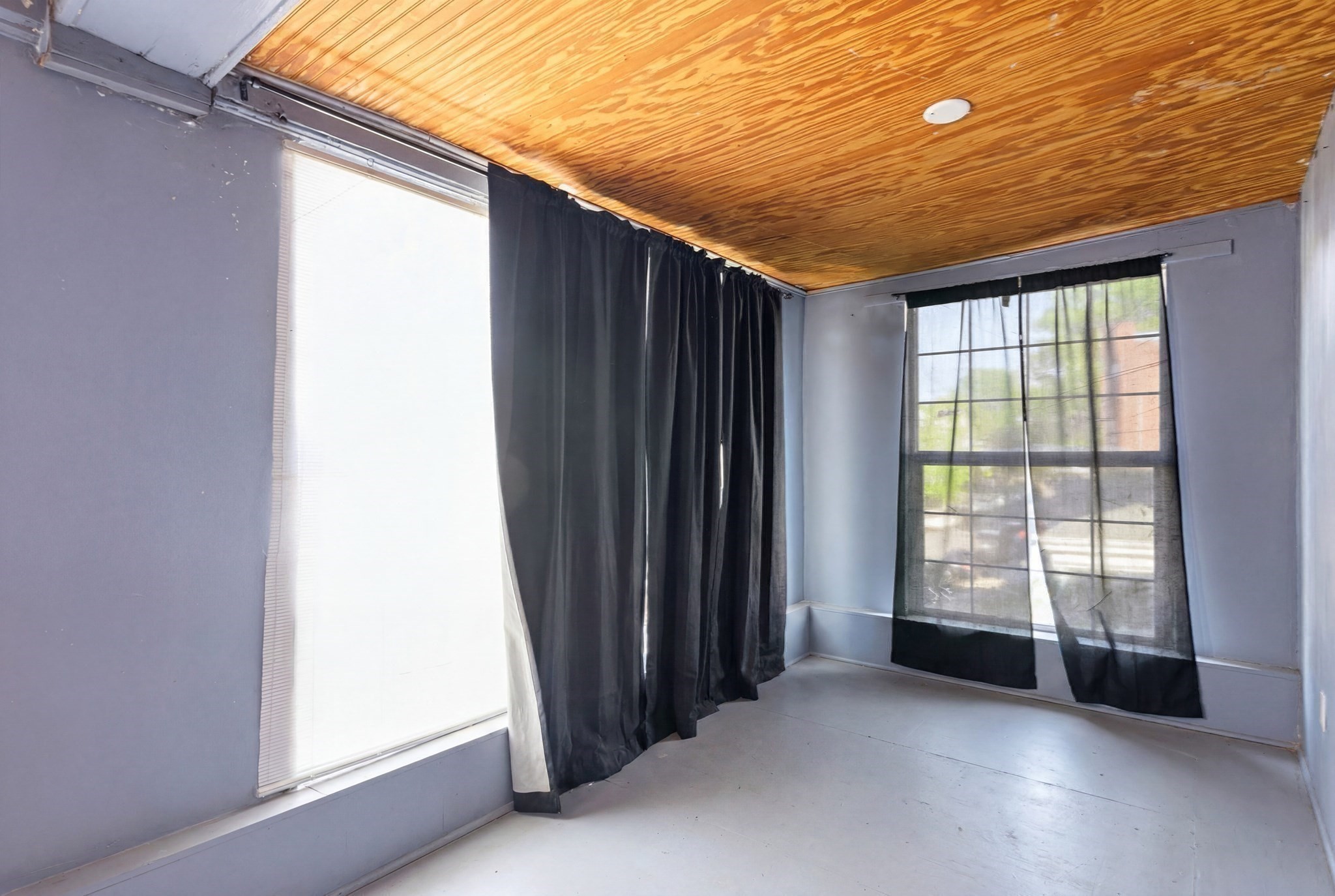 29 Esmond St Property Photo 23