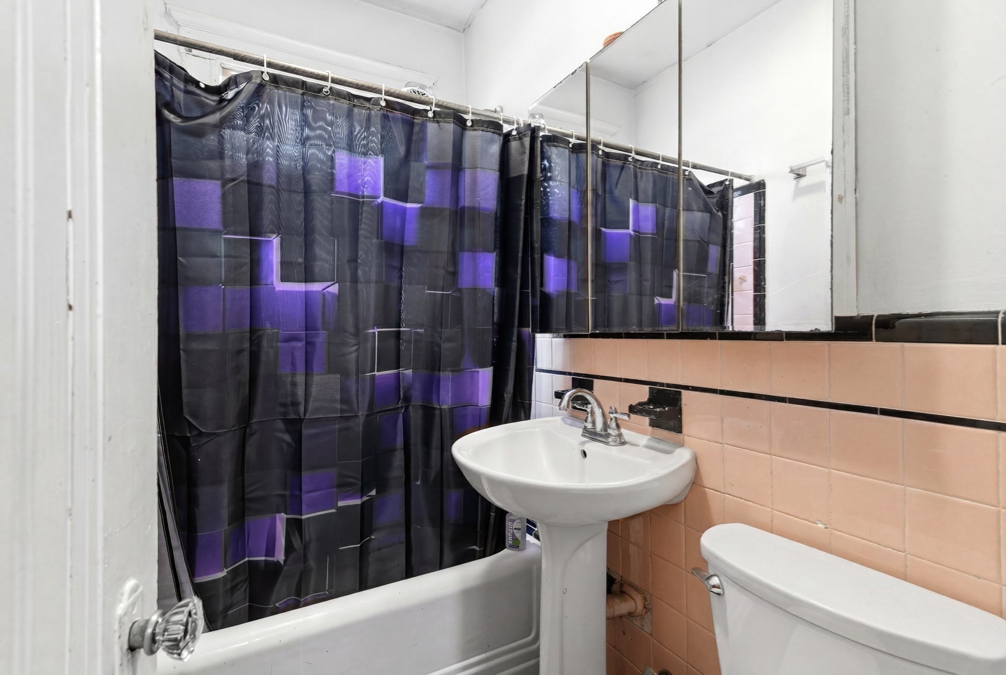 29 Esmond St Property Photo 33