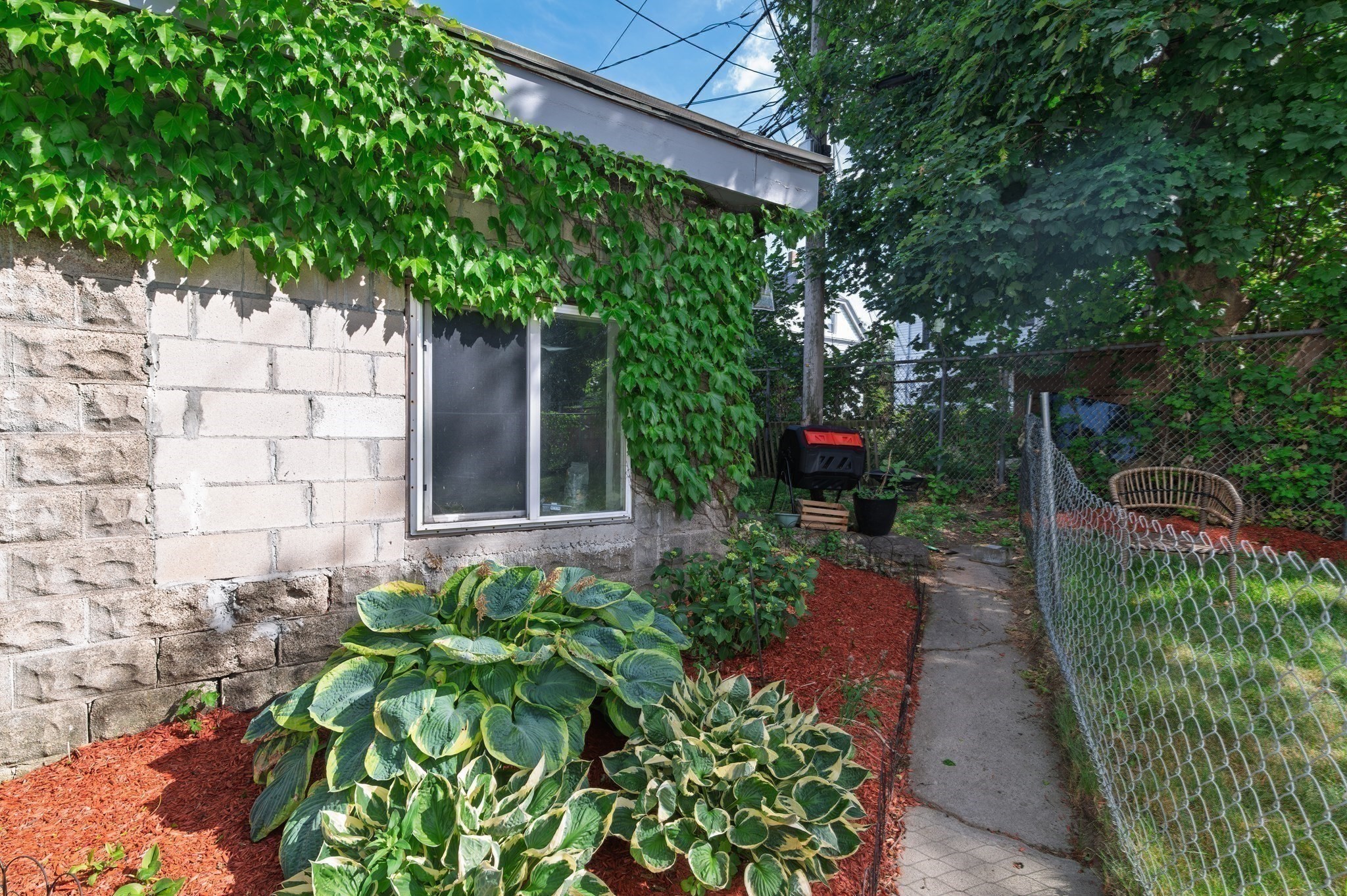 29 Esmond St Property Photo 36