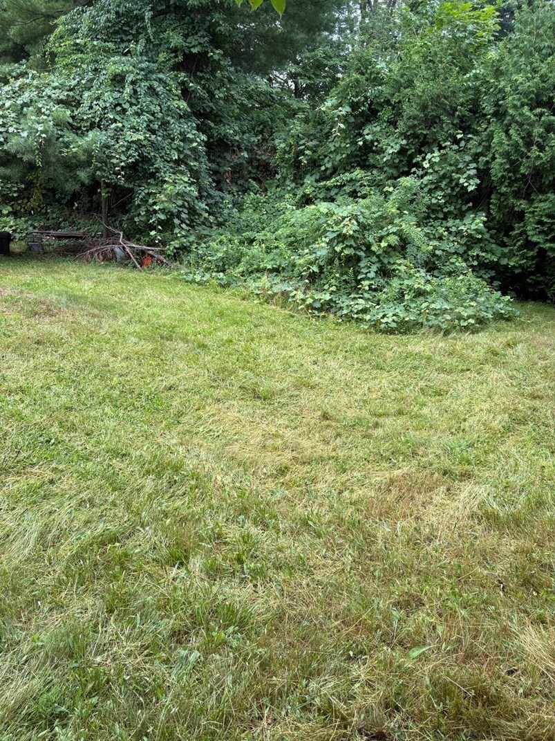 2 Barden Lane Property Photo 18