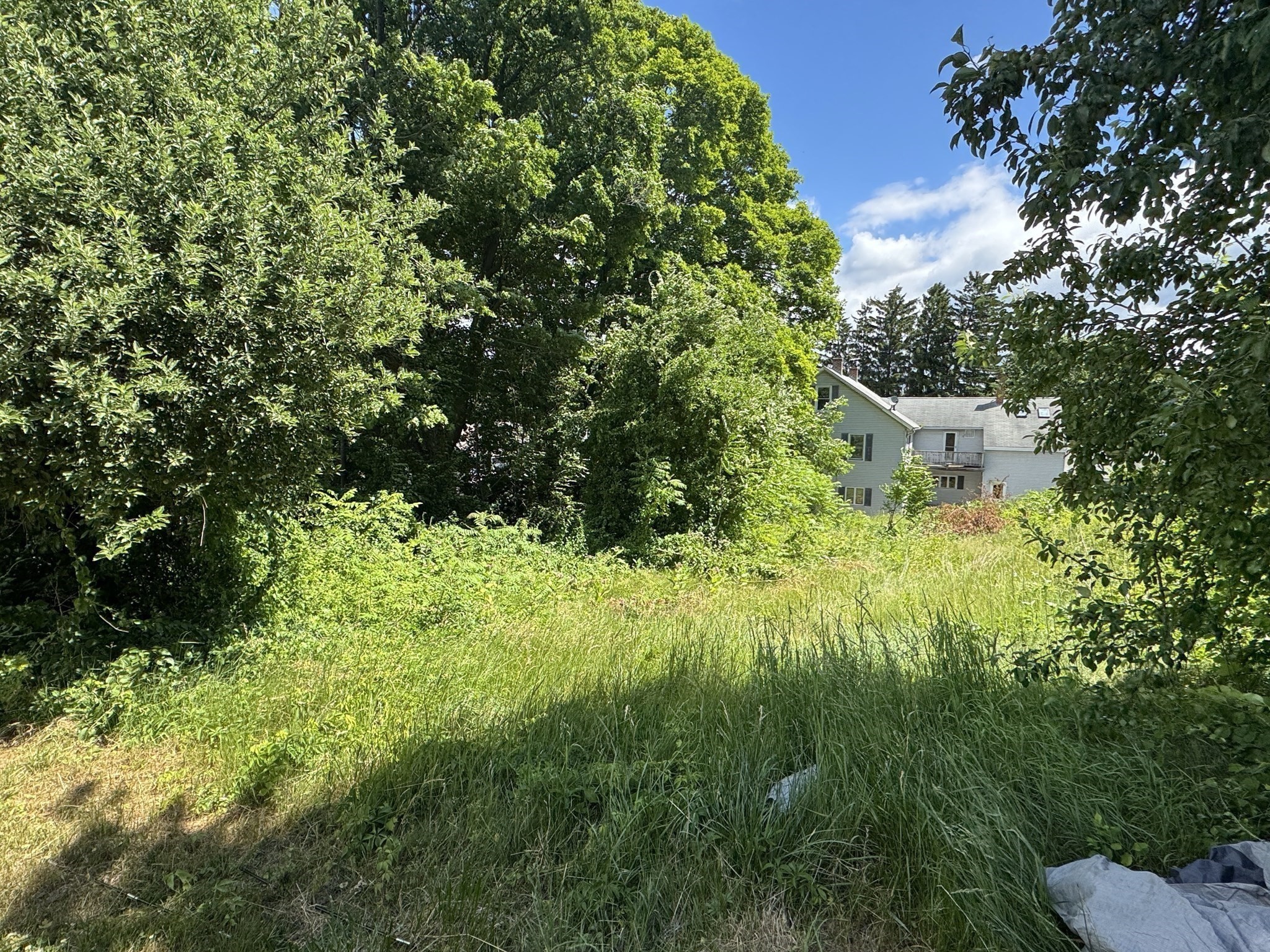 2053-2055 High St Property Photo 14