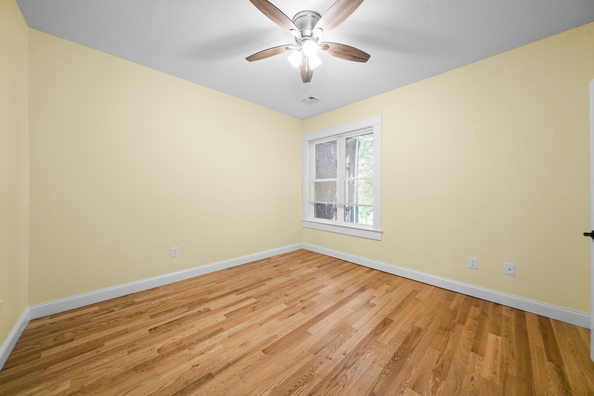 20 Linden St Property Photo 21