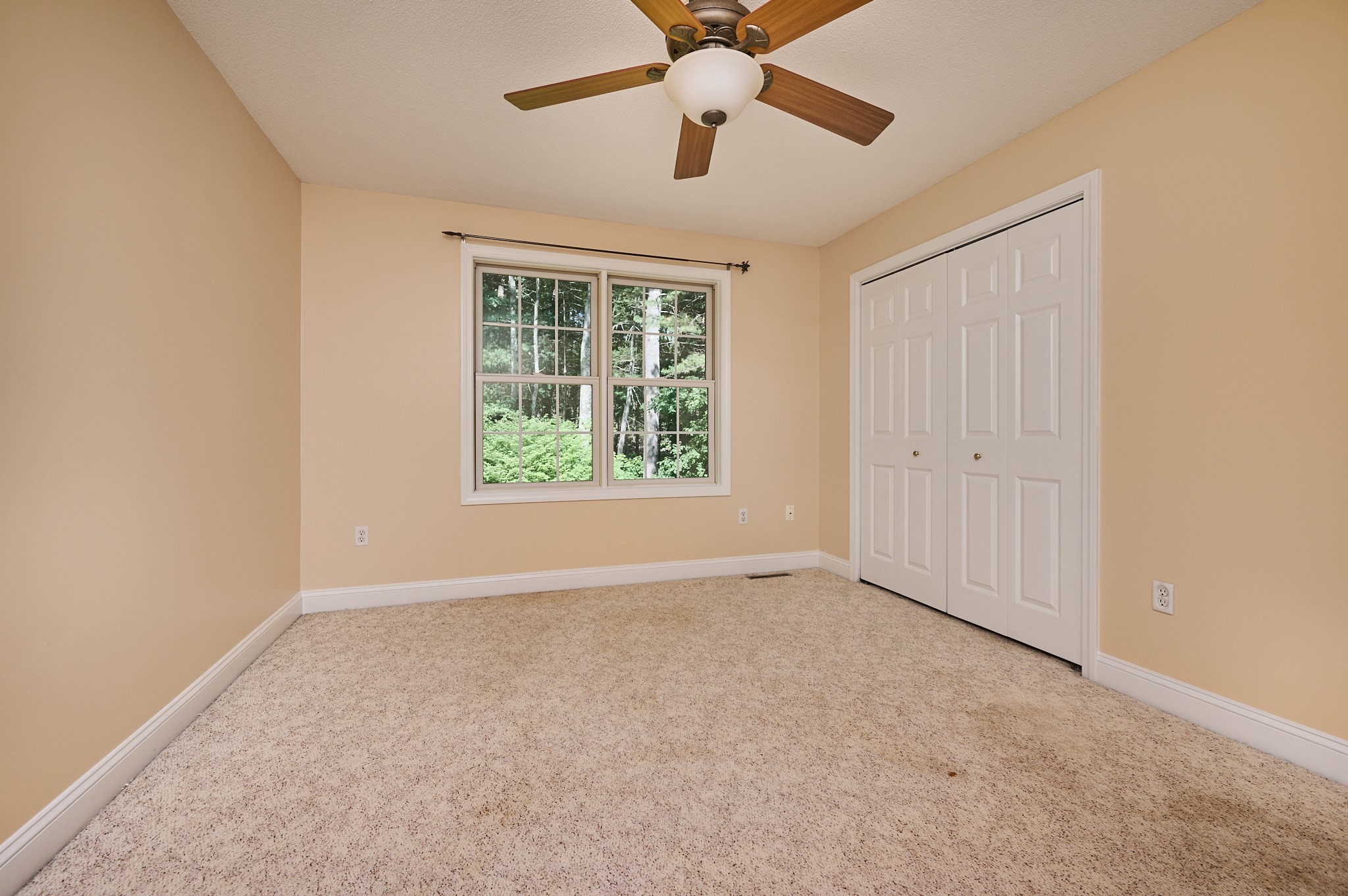 169 Aldrich St Property Photo 22