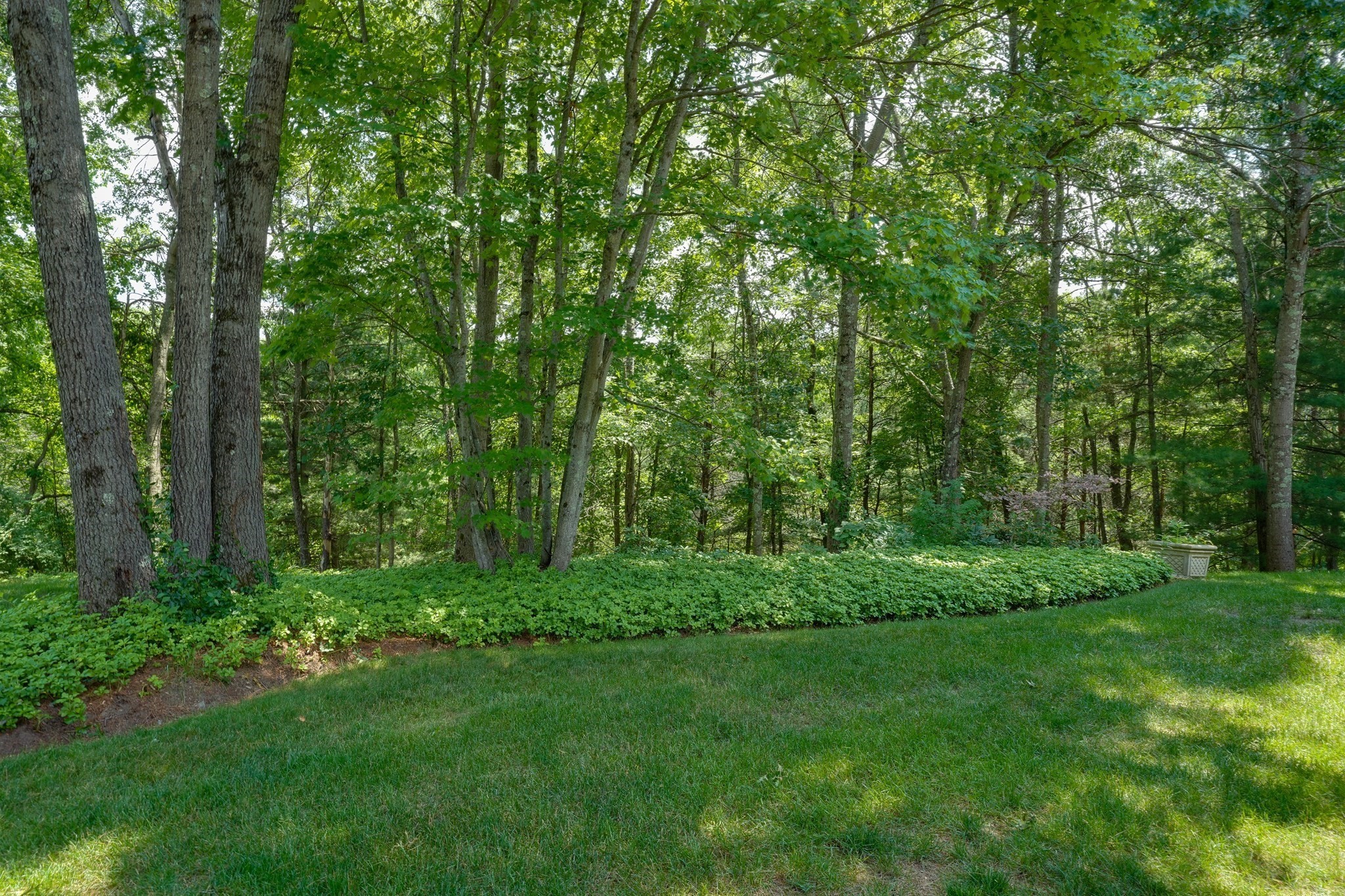 113 Ridgefield Circle # C Property Photo 25