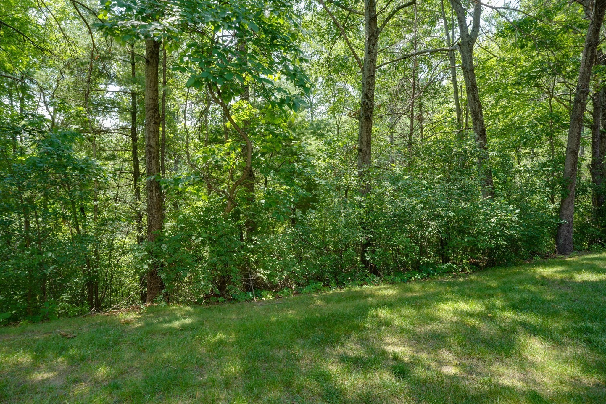 113 Ridgefield Circle # C Property Photo 26