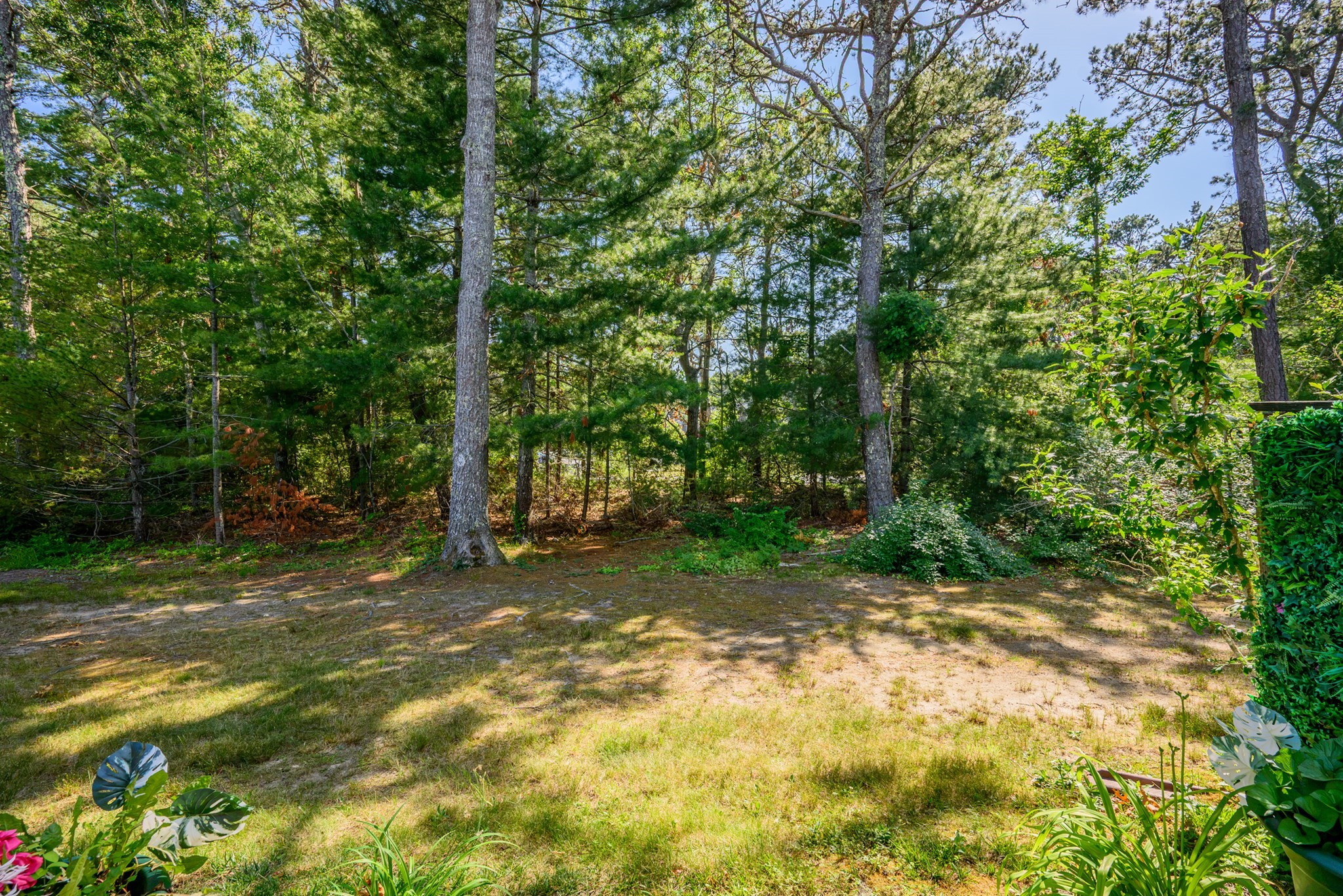 300 Falmouth Rd # 9e Property Photo 34
