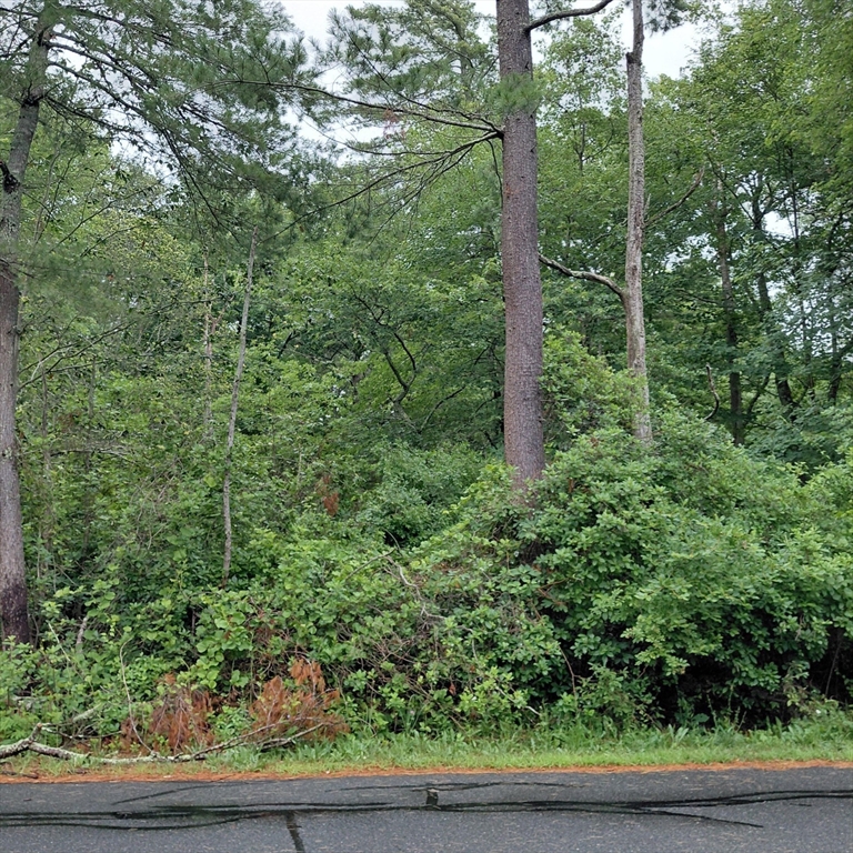 0 Brant Beach Avenue Property Photo 3