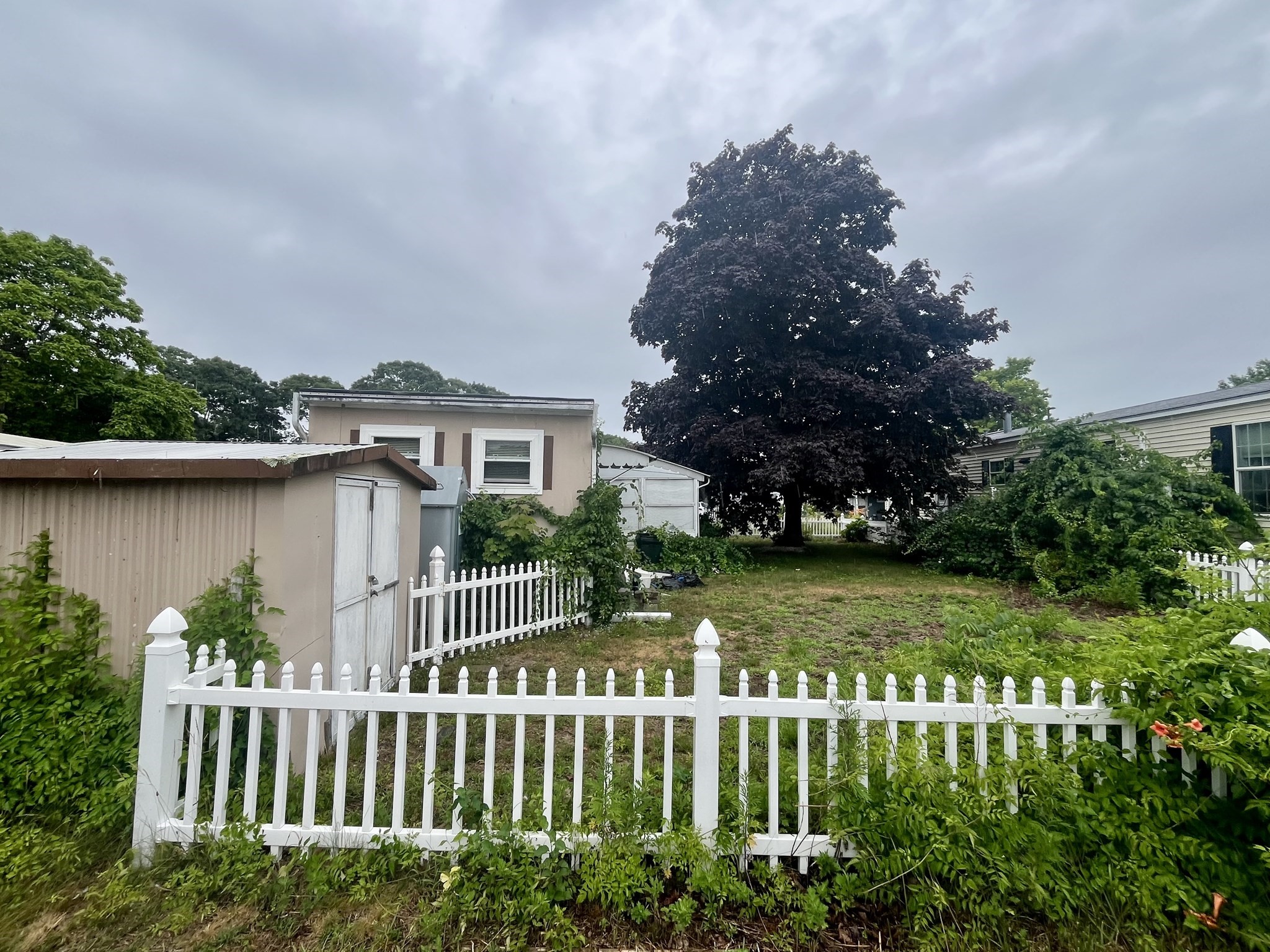 20 Madeline Street Property Photo 5