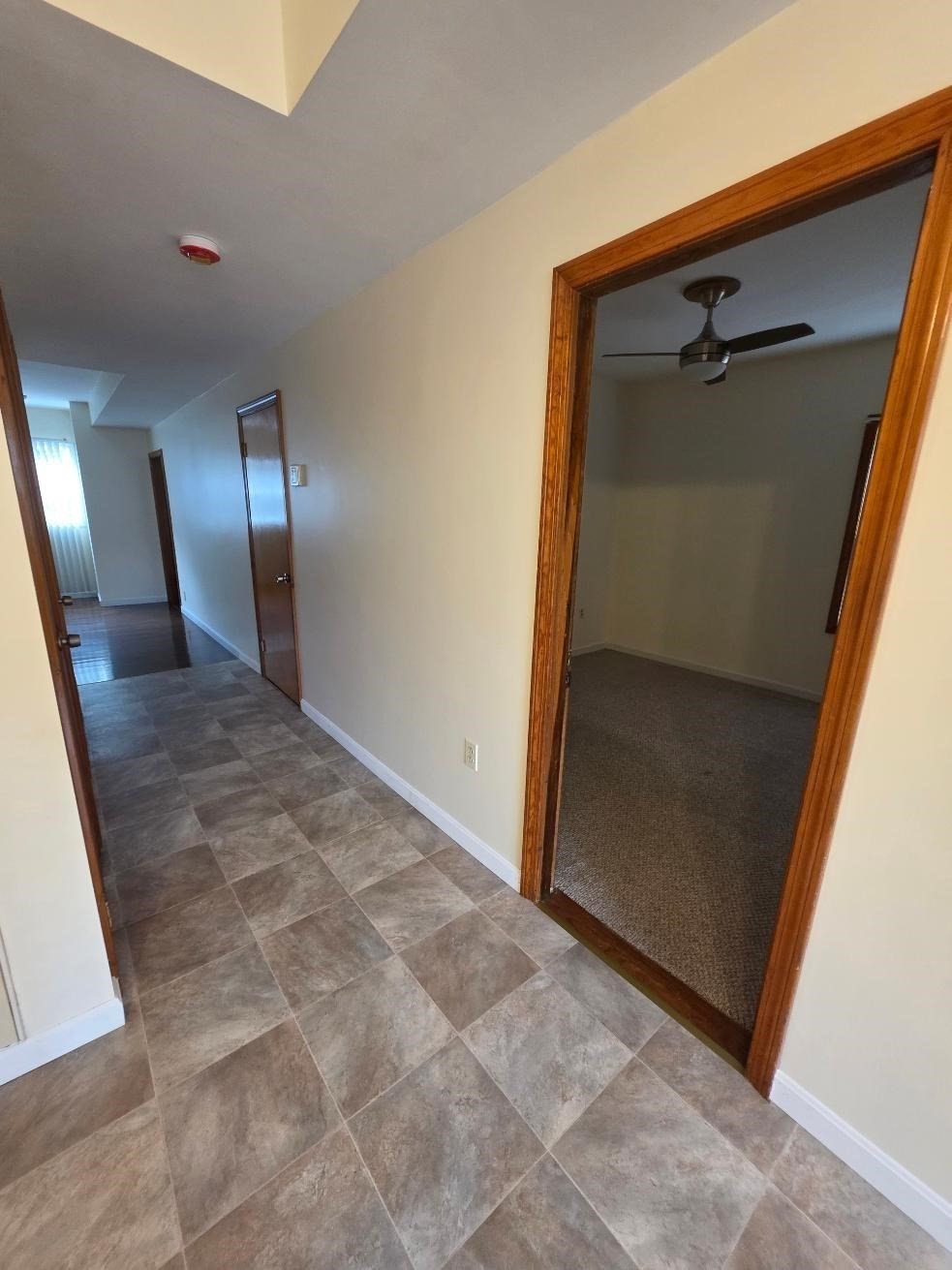 145 Suffolk Property Photo 10