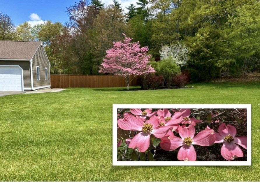 1 Hawthorne St Property Photo 2