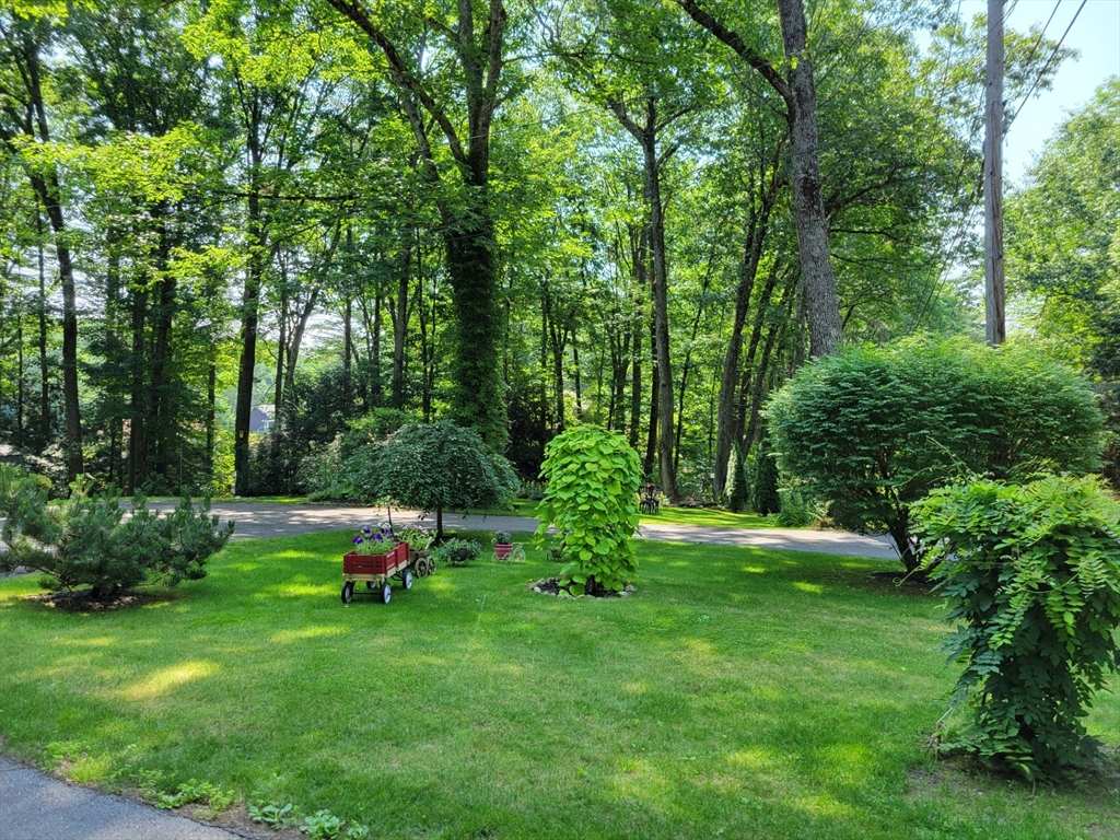 20 Iroquois Ave. Property Photo 40