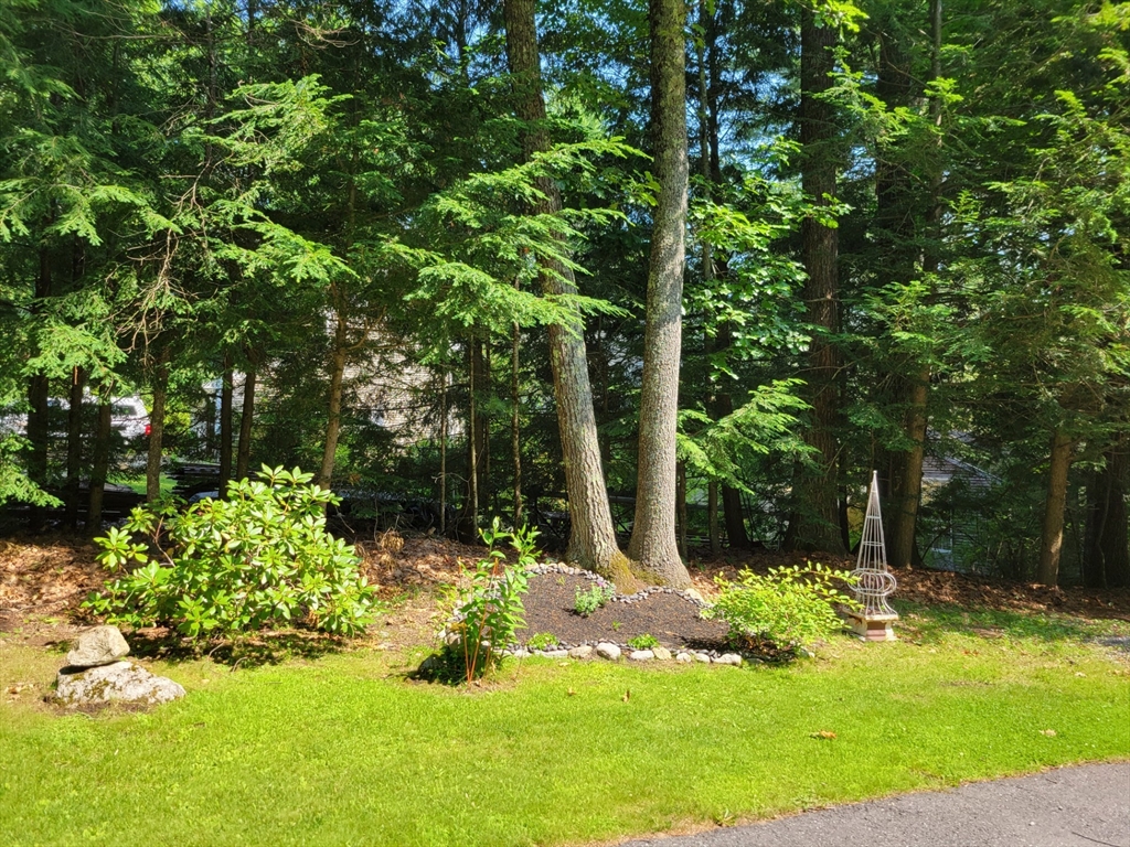 20 Iroquois Ave. Property Photo 41