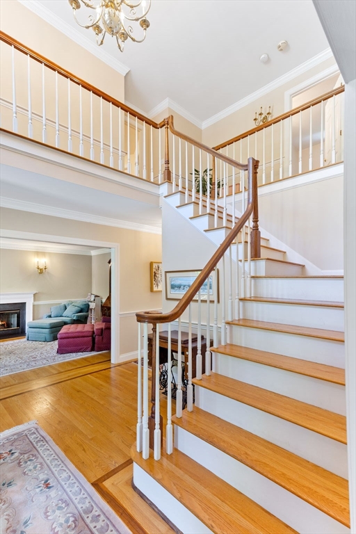 35 Vineyard Place Property Photo 20