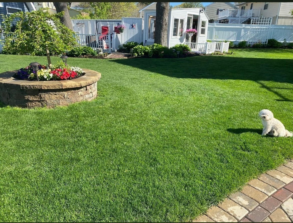 10 Dean Street Property Photo 19