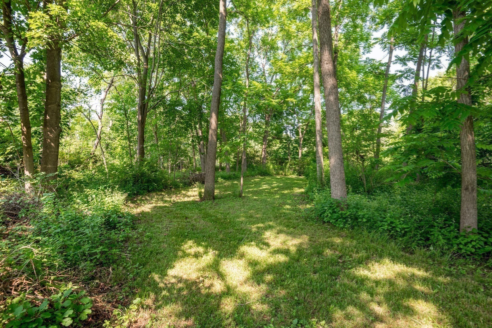 217 Maple Street Property Photo 39