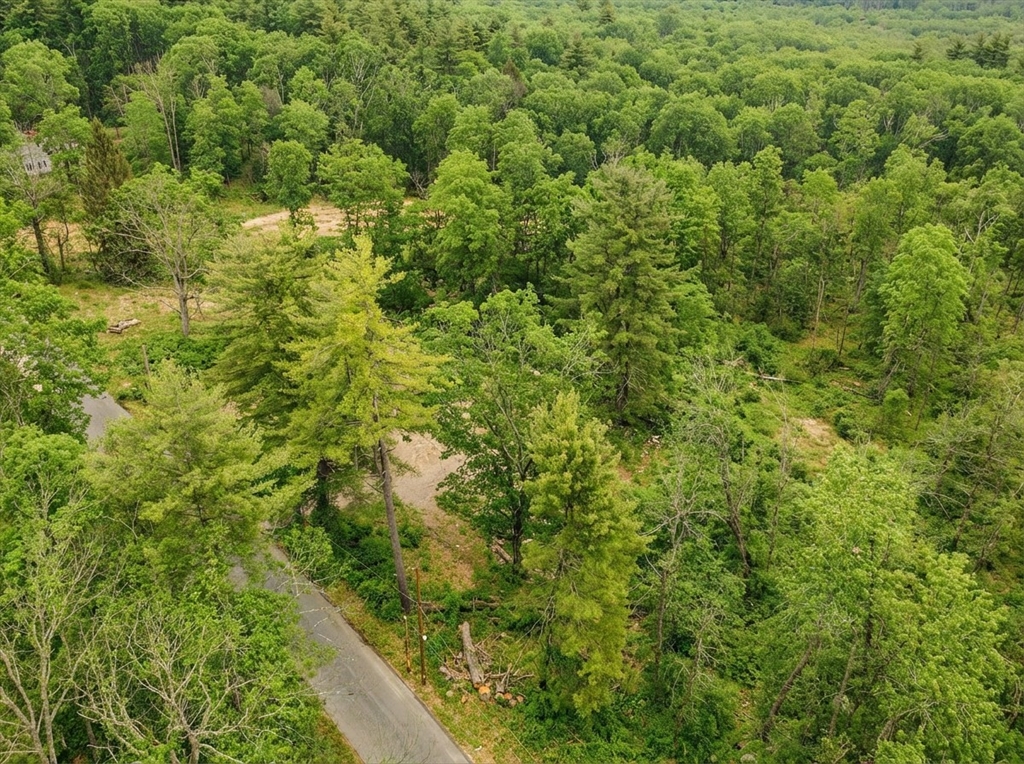 179 Chapin Rd Property Photo 4