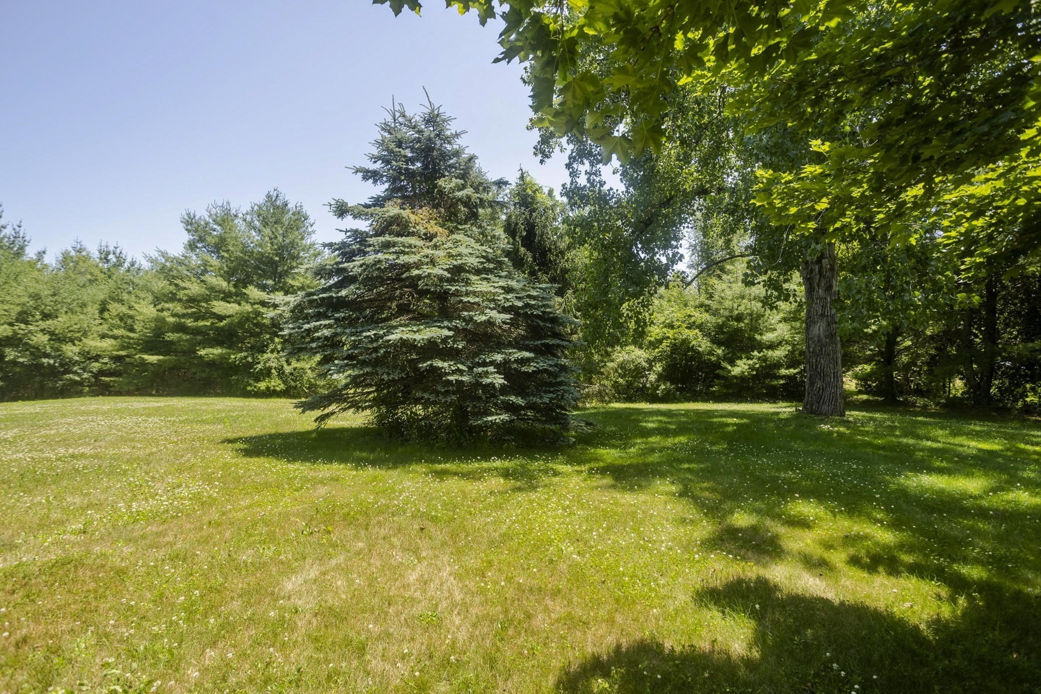 447 Loring Rd Property Photo 37