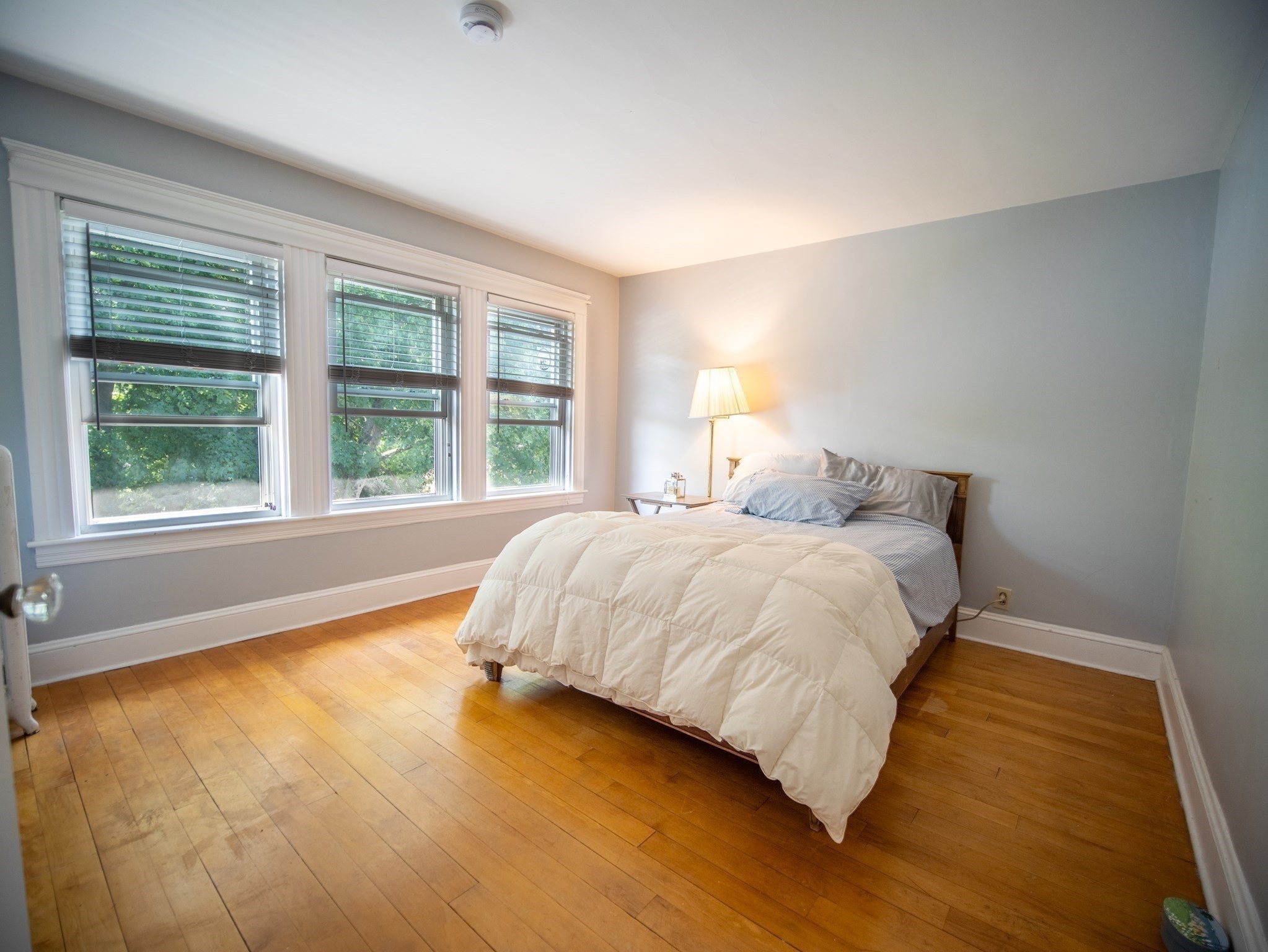 54 Sycamore Street Property Photo 8