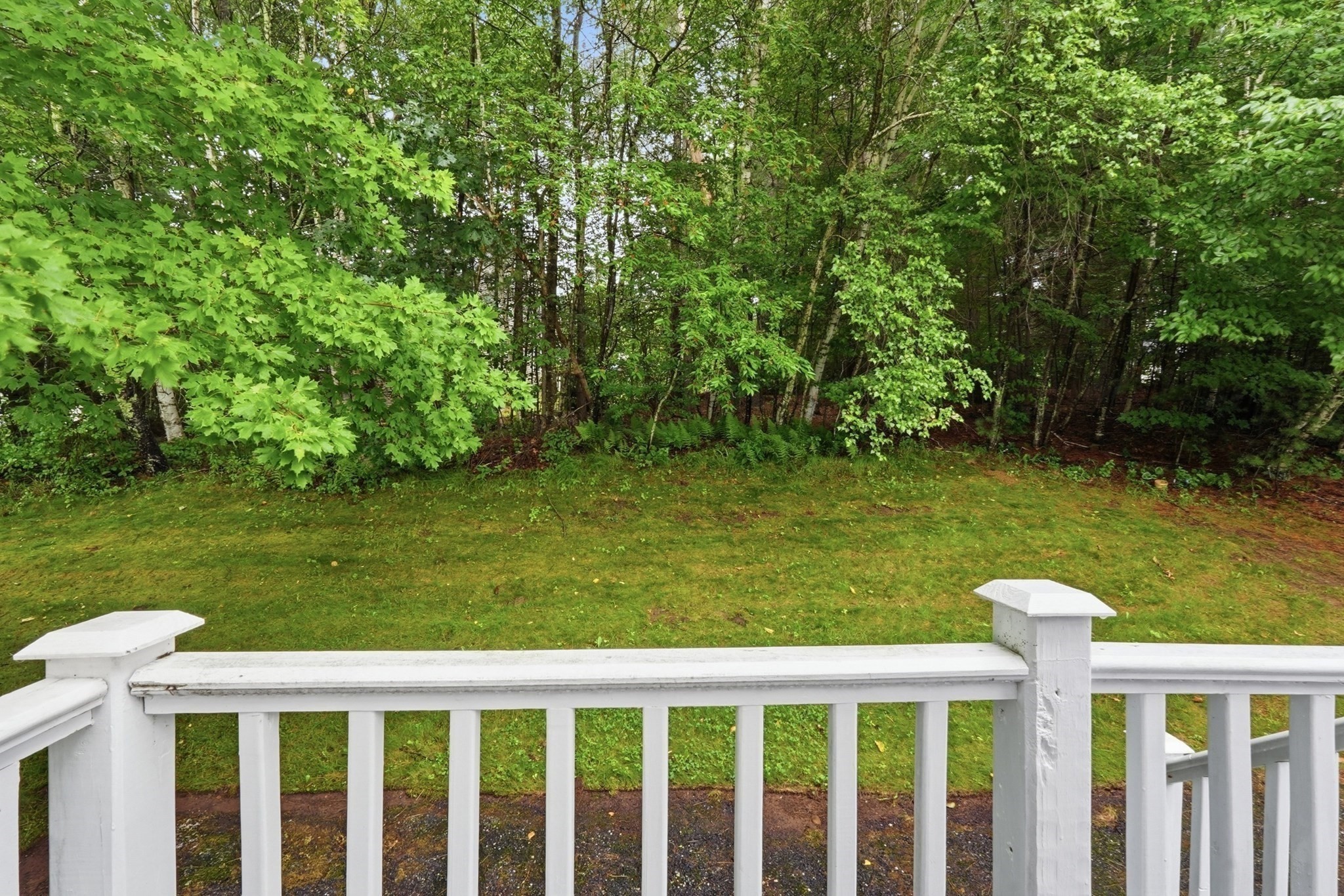 41 Deer Run Property Photo 19