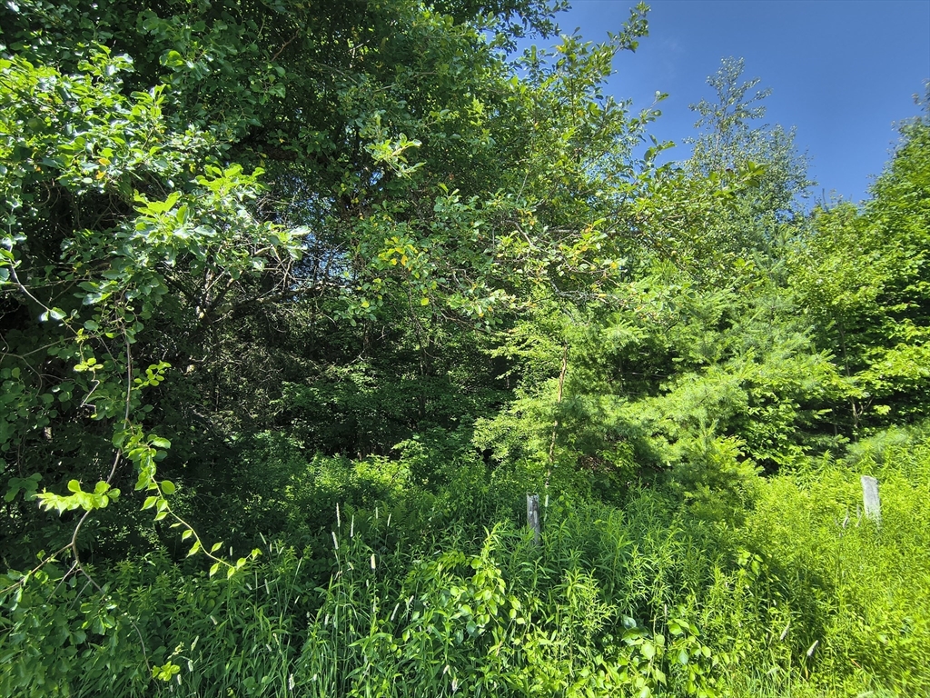 Lot A Ridge Road Property Photo 8