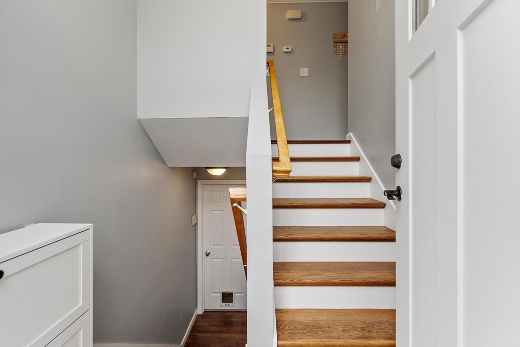 629 Chestnut Hill Ave Property Photo 23