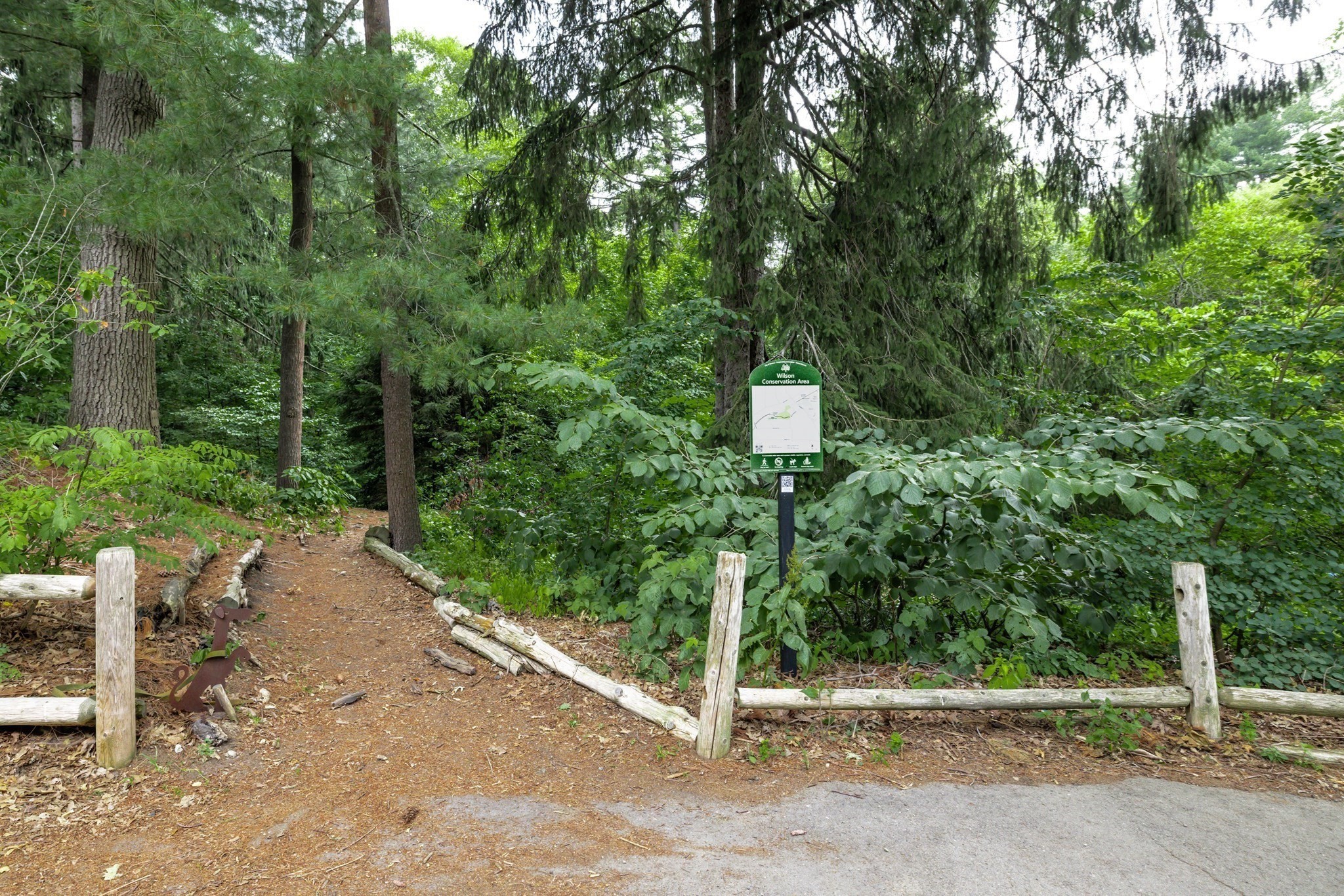 22 Bracebridge Road Property Photo 37
