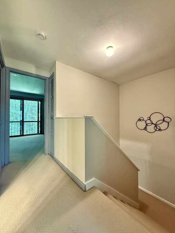 162 Prospect Ave # 7 Property Photo 9