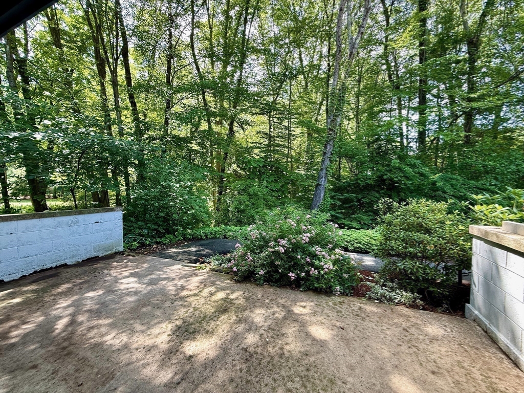 162 Prospect Ave # 7 Property Photo 19