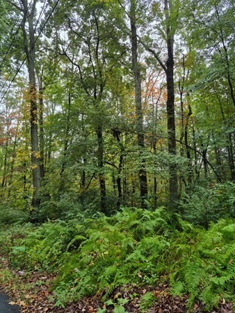 0 Blackmer Rd Property Photo 1