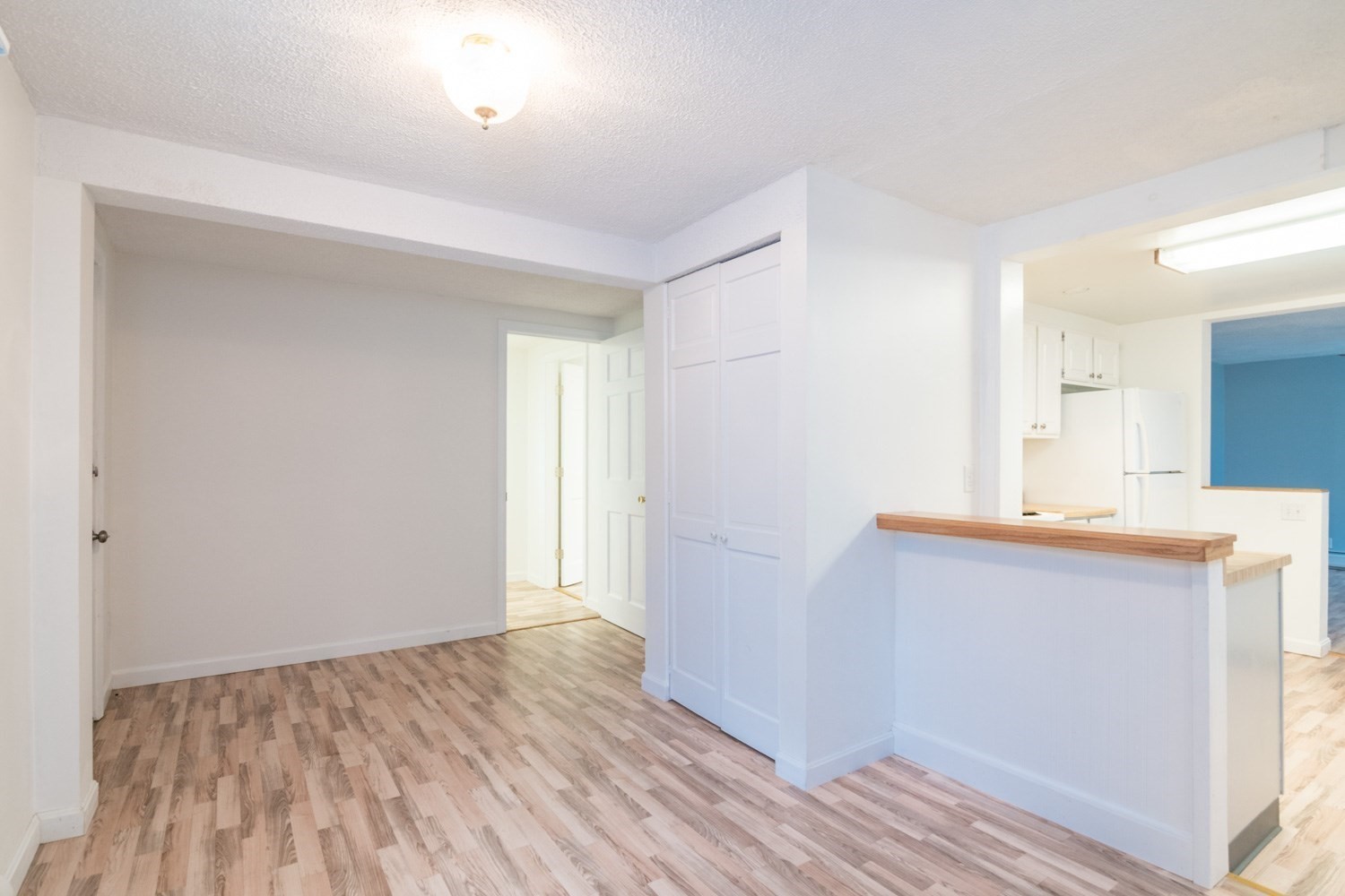 56 Warner St Property Photo 7