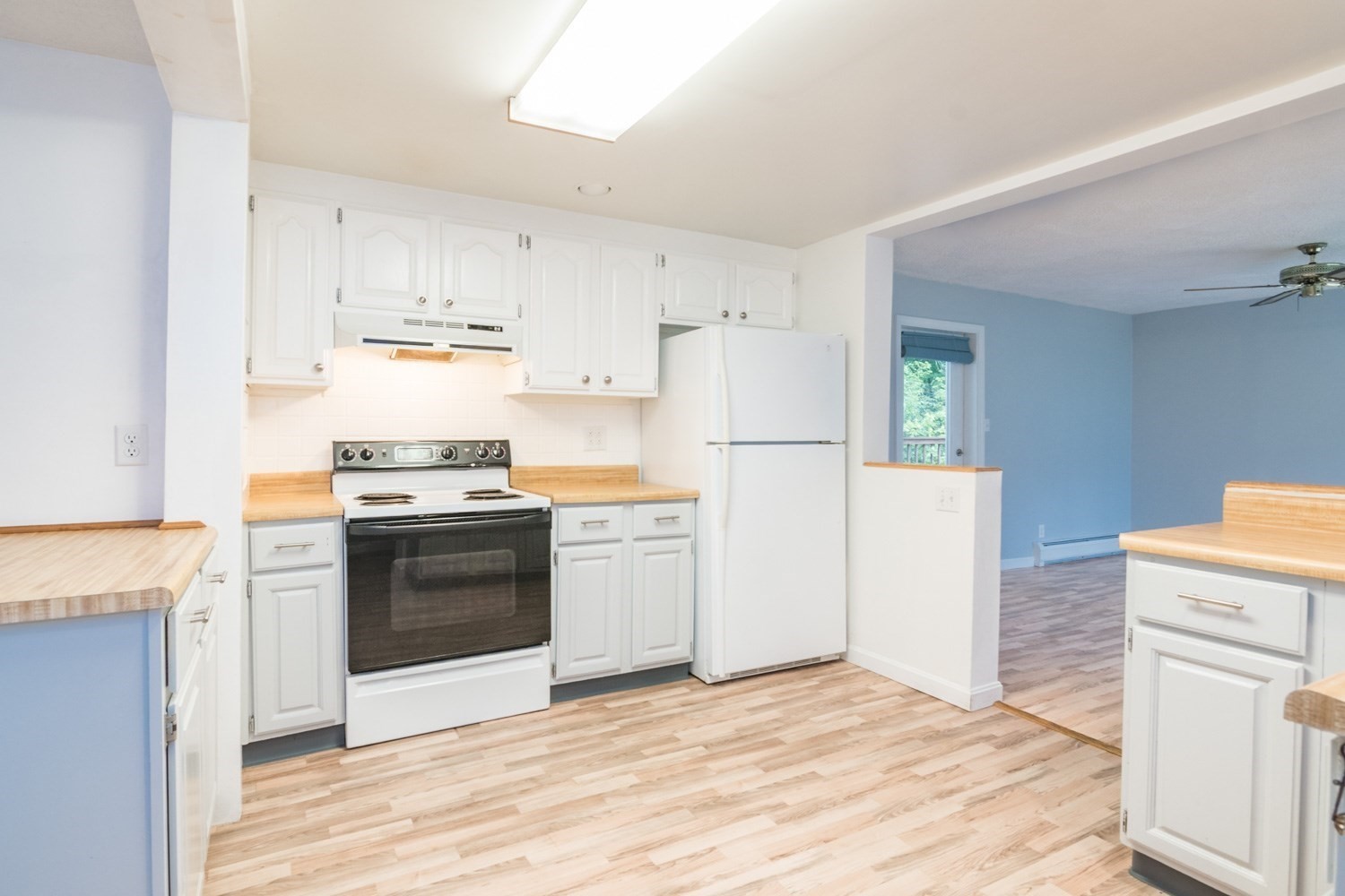 56 Warner St Property Photo 8