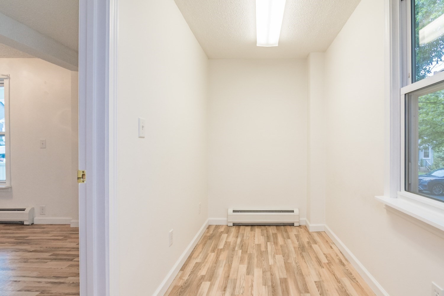 56 Warner St Property Photo 17