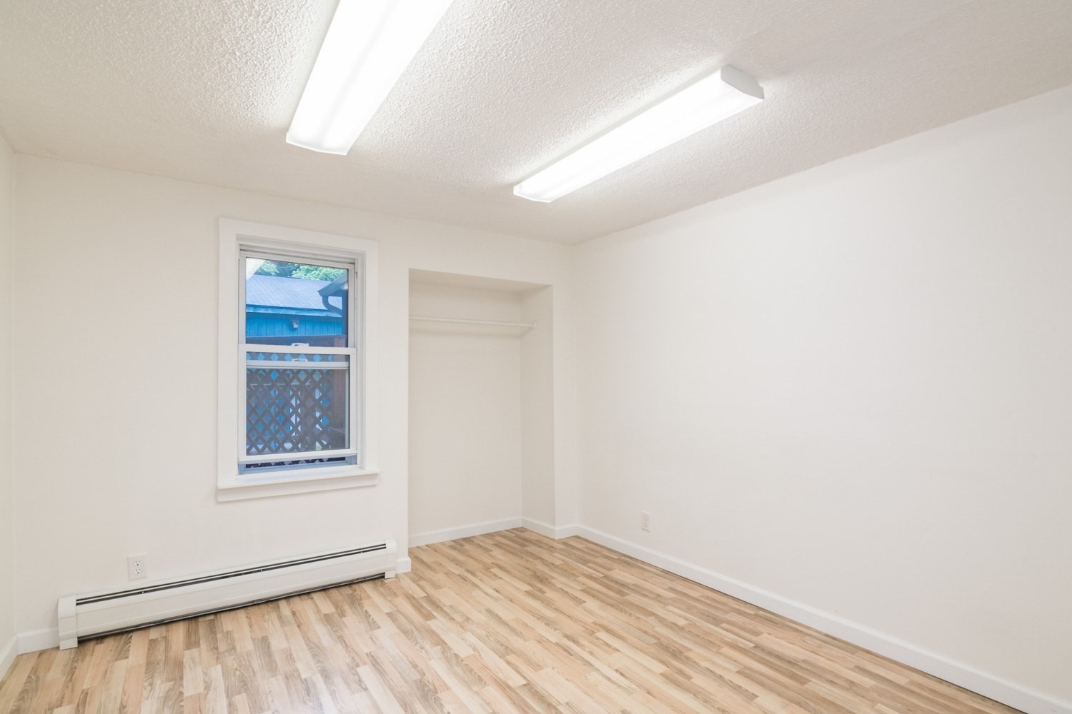 56 Warner St Property Photo 18